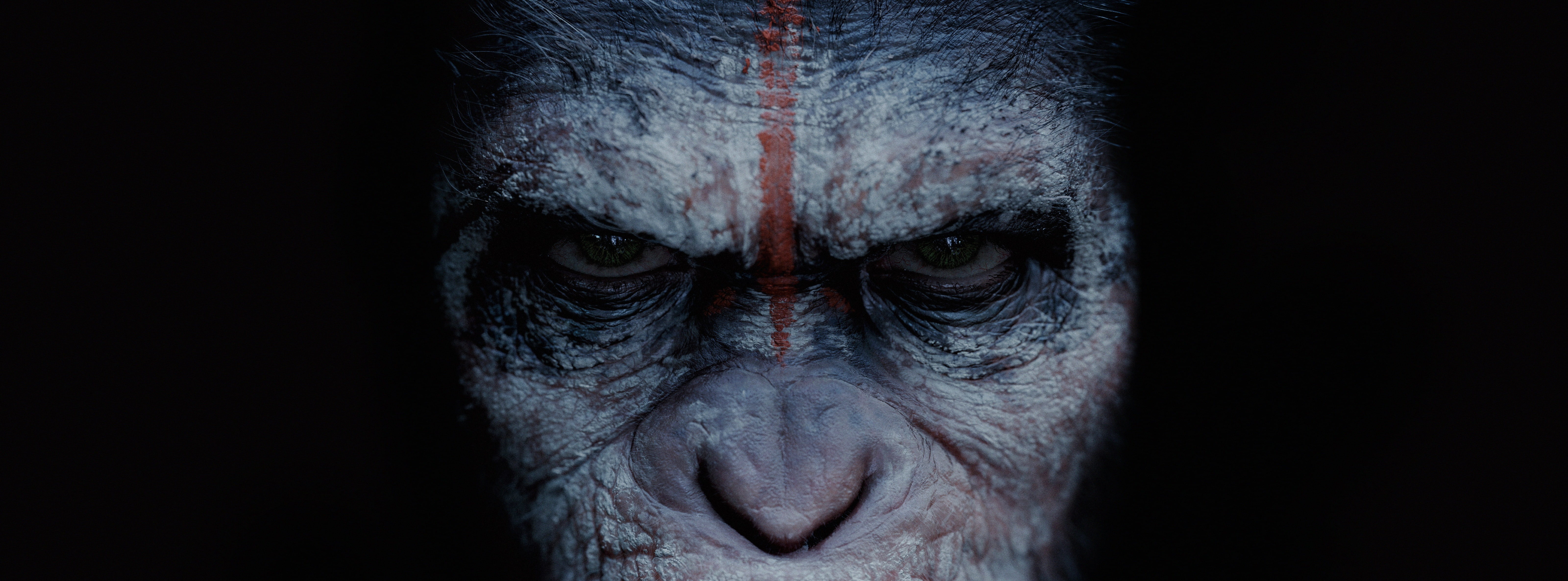 Other Movies, chimpanzee, human face, emotion, animal body part, planet, contemplation, primate, animal wildlife, animal eye, grey, Dawn of the Planet of the Apes, HD Wallpaper