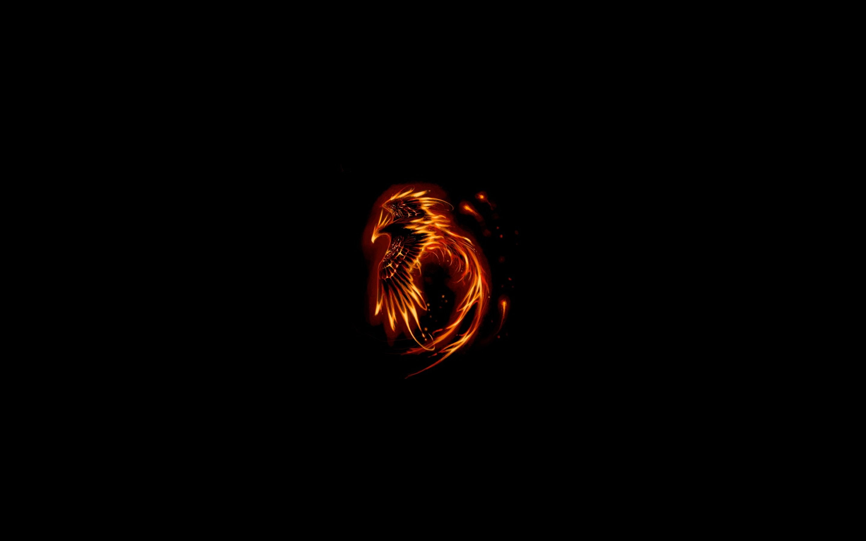 fenix, 2K, bird, fire, HD Wallpaper