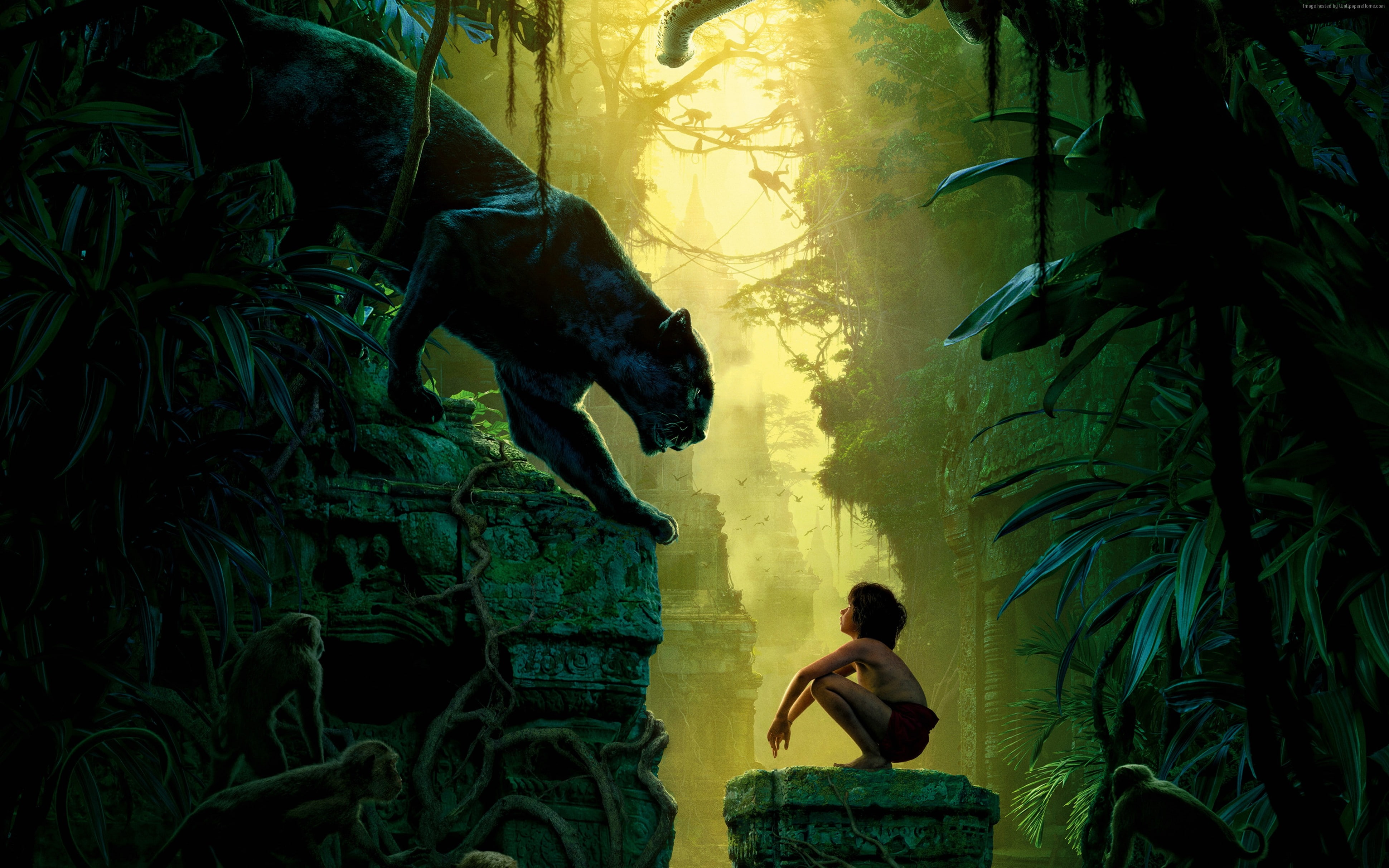 Best movie of 2016, fantasy, The Jungle Book, Bagheera, 4K, adventure, Mowgli, HD Wallpaper
