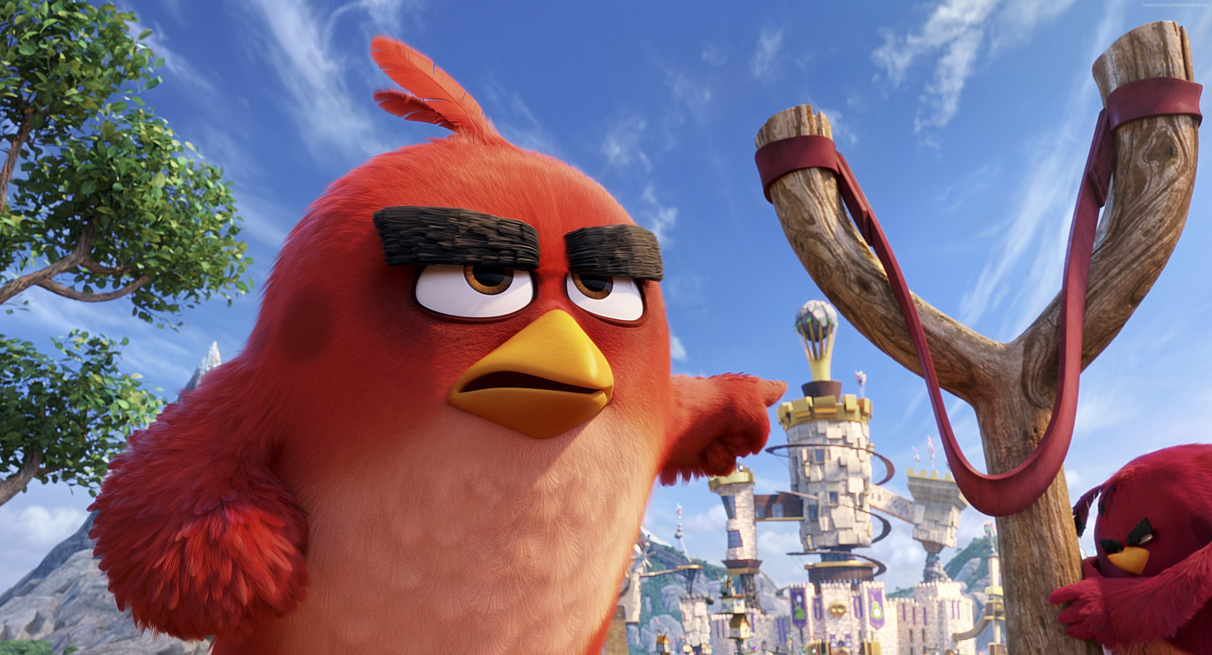 Angry Birds Movie, 4K, Best Animation Movies of 2016, red, HD Wallpaper