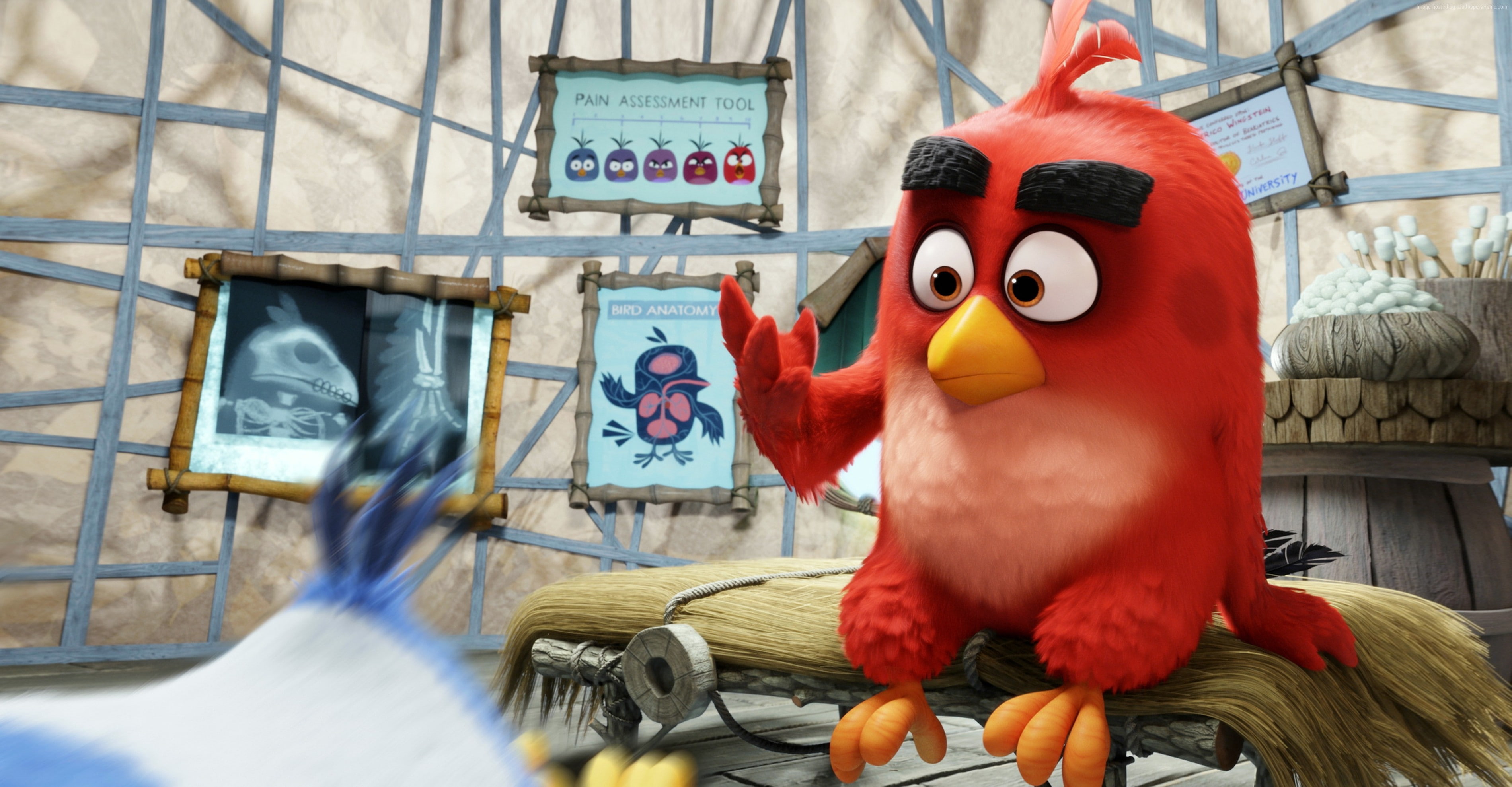 Angry Birds Movie, red, Best Animation Movies of 2016, 2K, HD Wallpaper