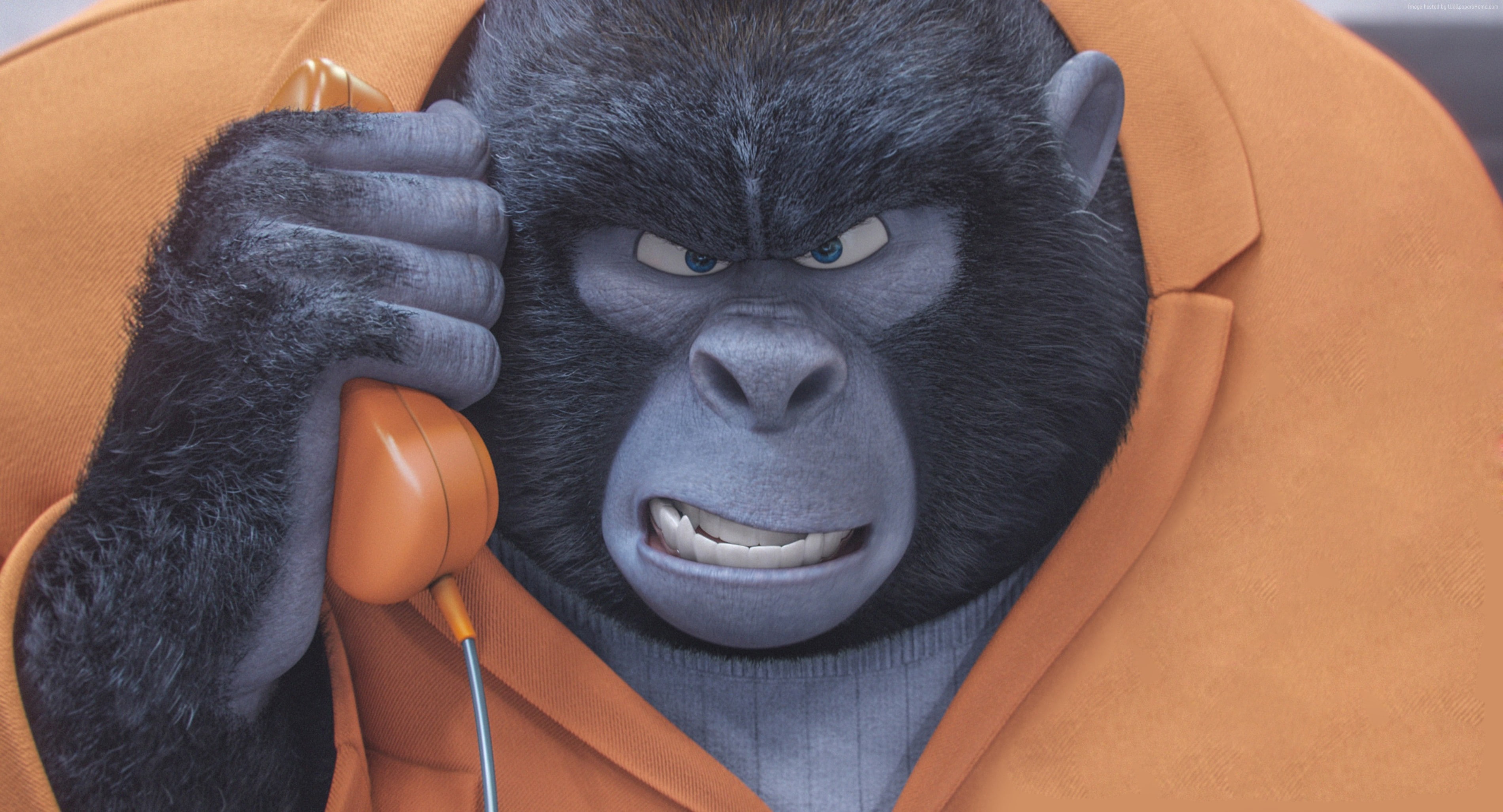 Sing, best animation movies of 2016, gorilla, 2K, HD Wallpaper