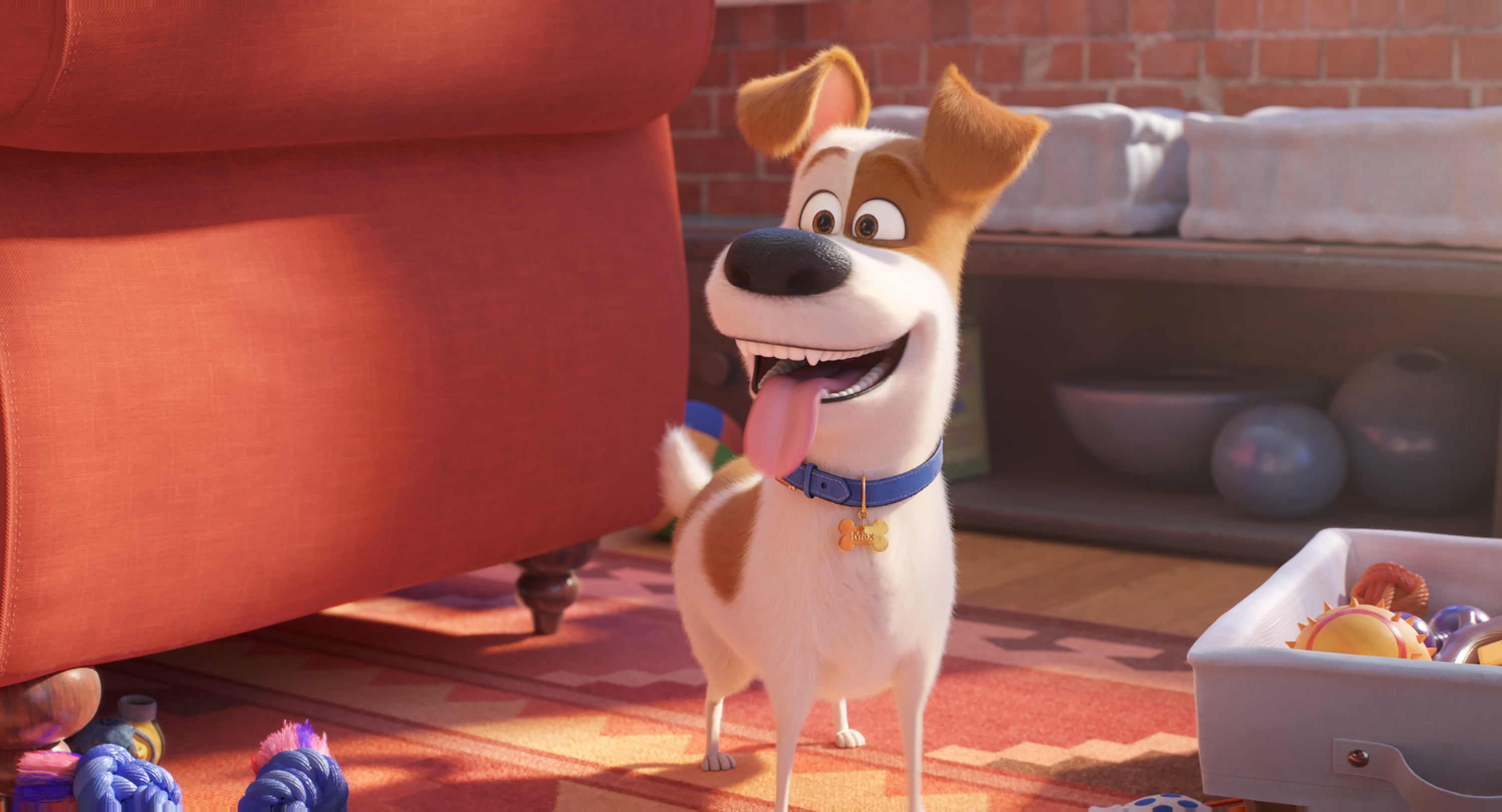 Movie, 2K, The Secret Life of Pets 2, HD Wallpaper