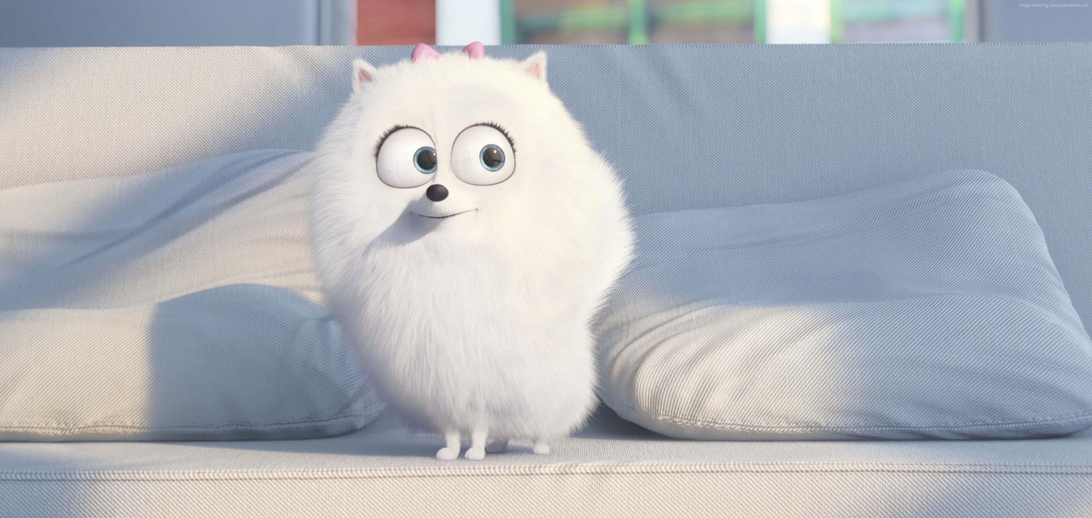 cartoon, Best Animation Movies of 2015, The Secret Life of Pets, 2K, HD Wallpaper