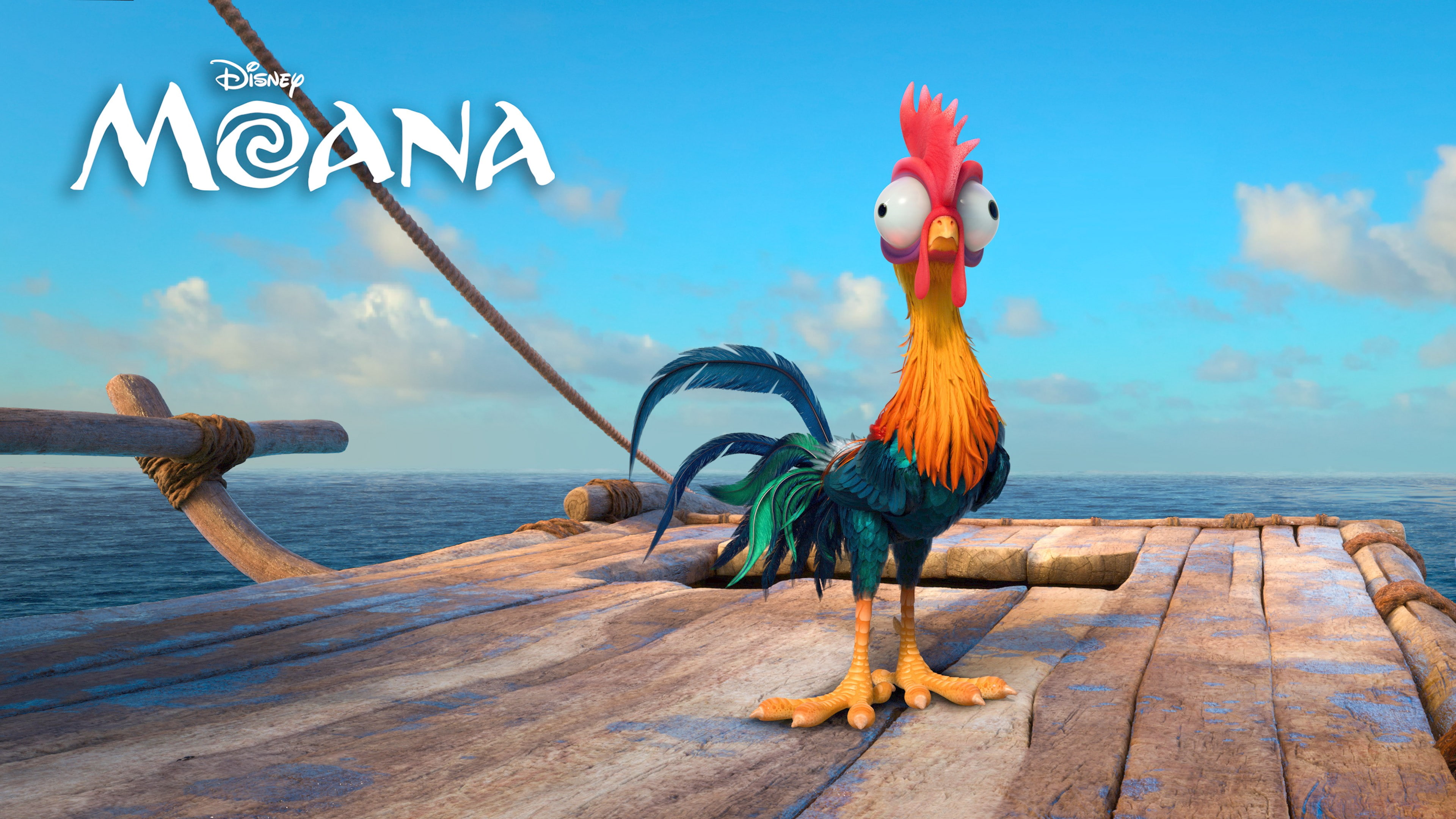 4K, heihei, best animation movies of 2016, Moana, chiken, HD Wallpaper