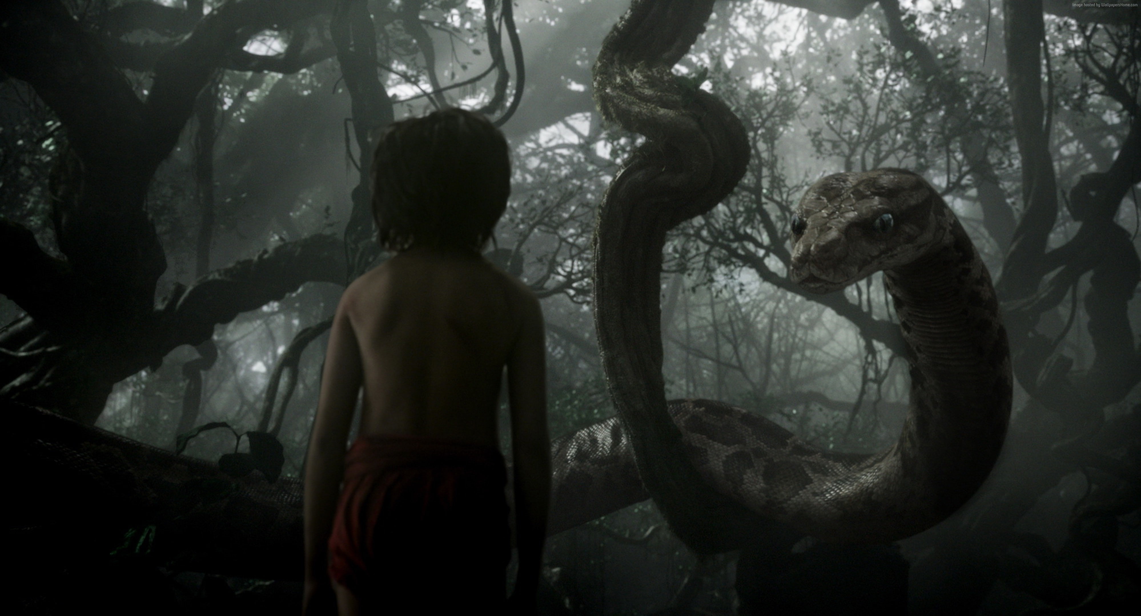 adventure, Mowgli, Best movie of 2016, 4K, Kaa, The Jungle Book, fantasy, HD Wallpaper