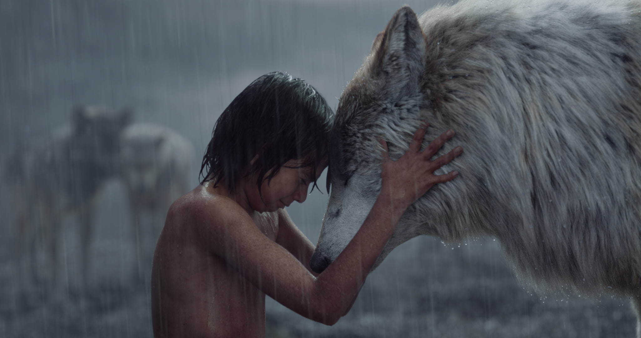 The Jungle Book, Mowgli, 1080P, boy, Raksha, HD Wallpaper