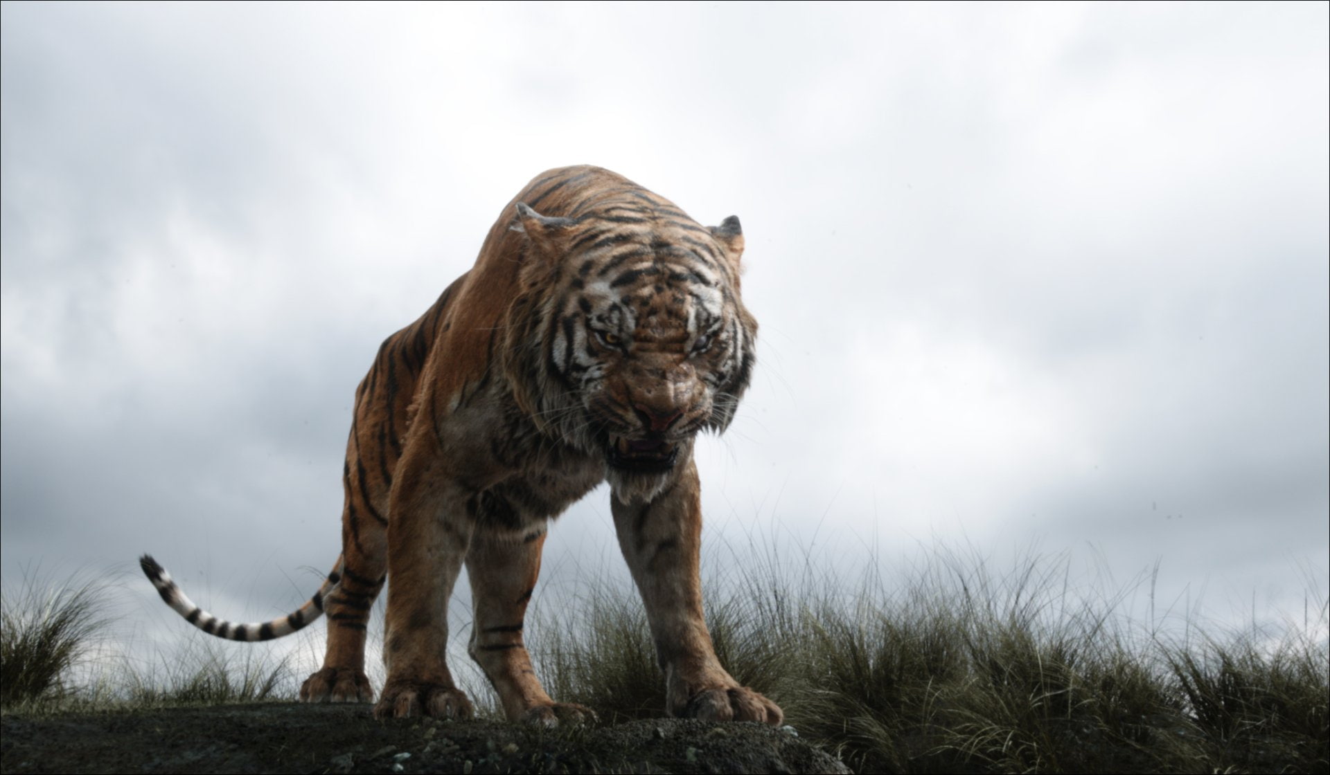 The Jungle Book (2016), The Jungle Book, 1080P, Shere Khan, HD Wallpaper