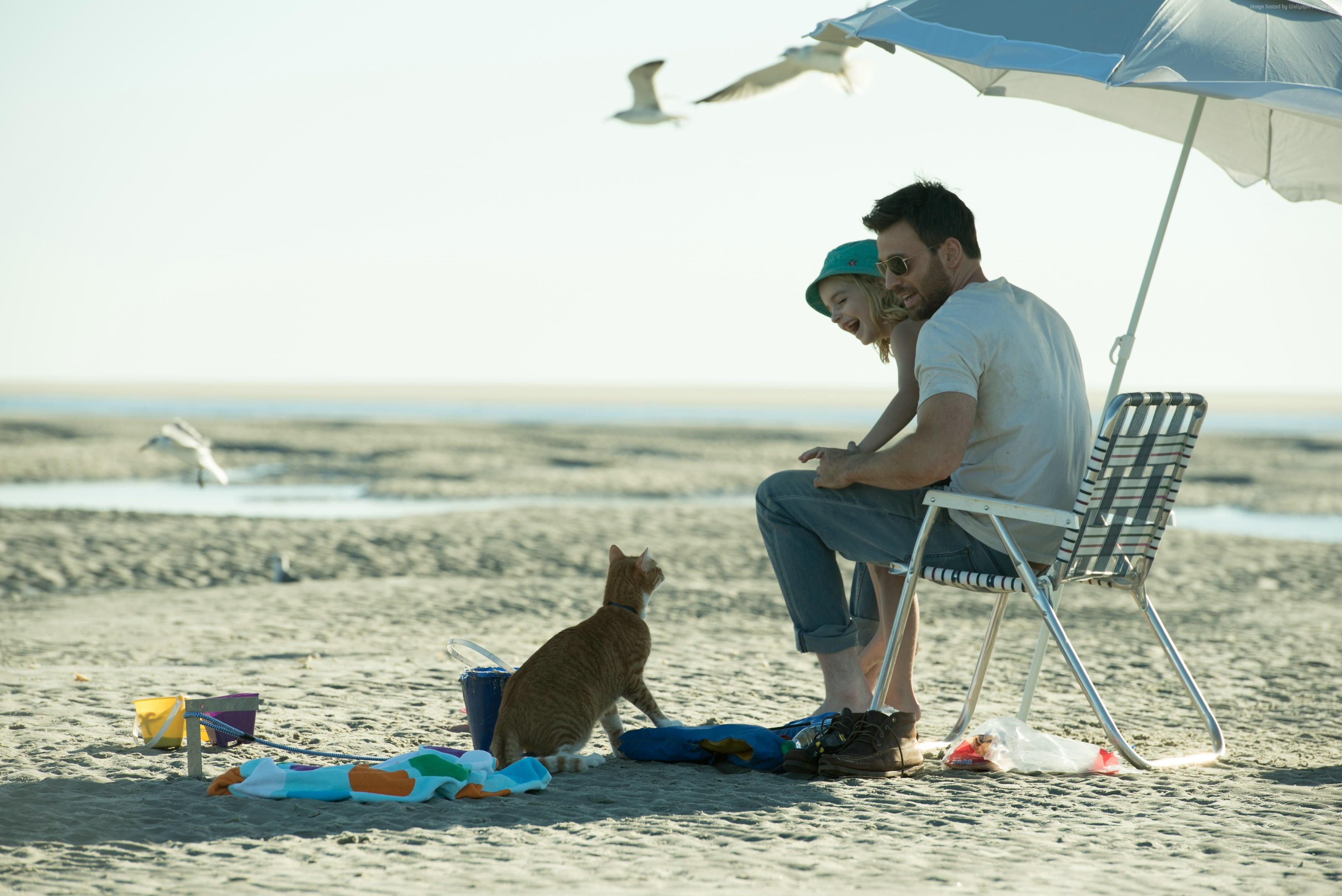 Chris Evans, 2K, Gifted, Mckenna Grace, best movies, HD Wallpaper