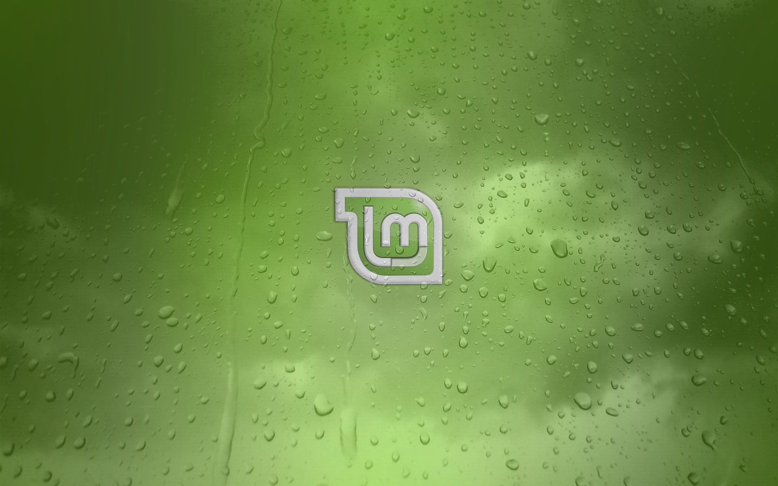 no people, rainy season, close-up, indoors, 2K, wet, communication, transparent, Linux, water, capital letter, purity, green color, full frame, text, drop, HD Wallpaper