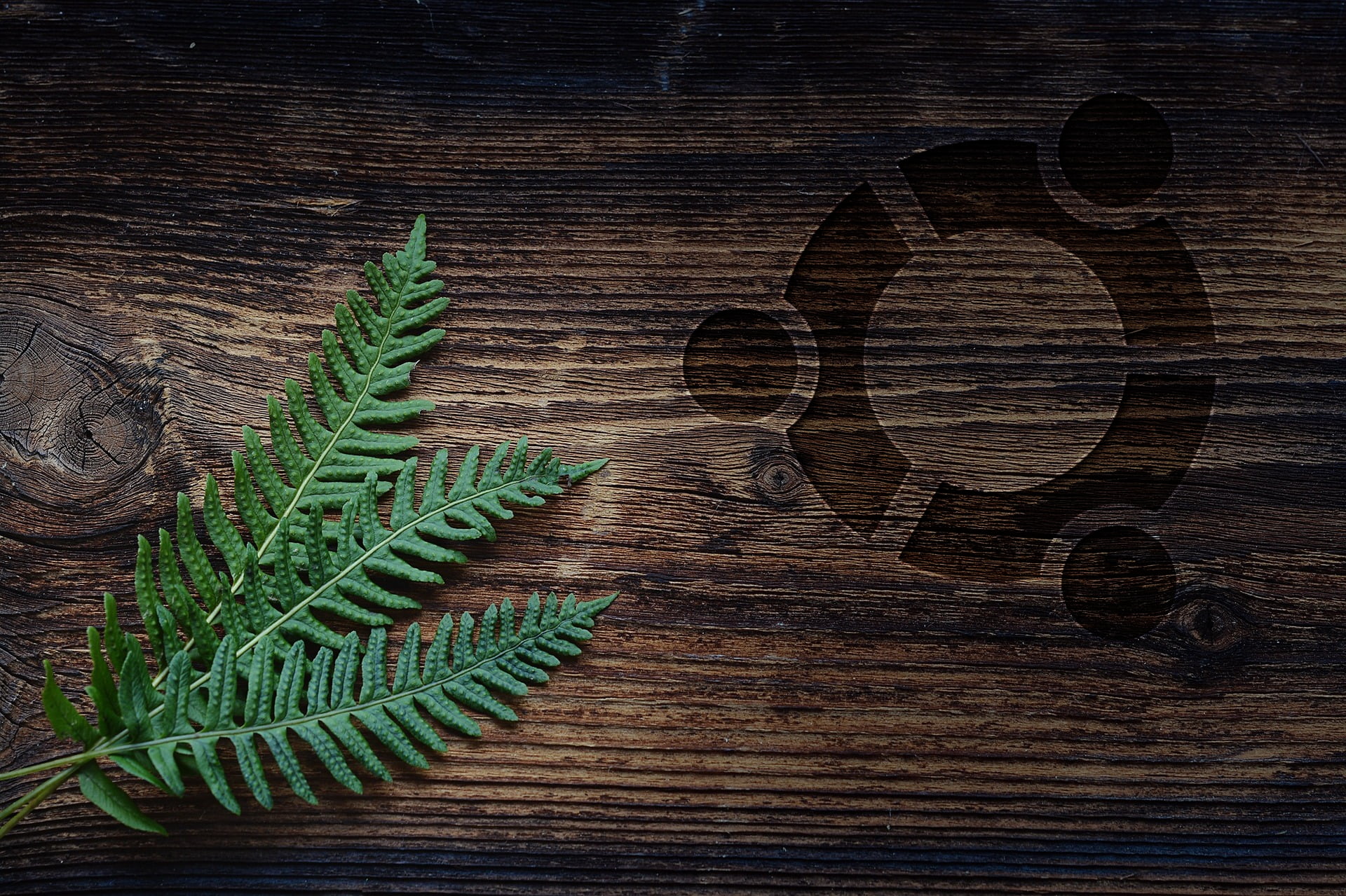 Ubuntu, Linux, leaves, 1080P, wood, table, nature, HD Wallpaper