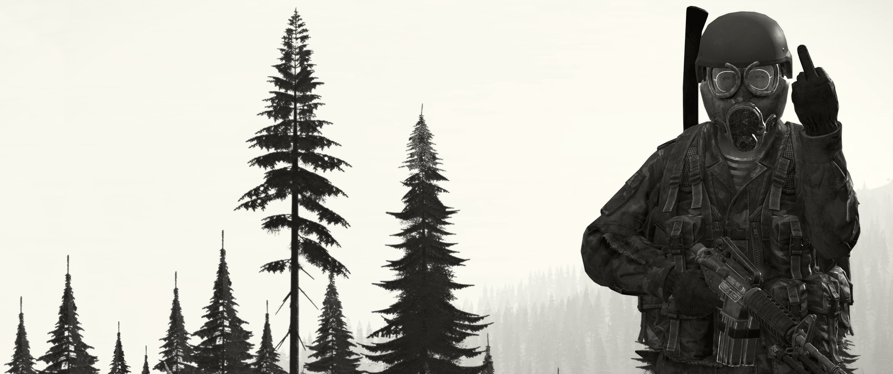 middle finger, unrecognizable person, nature, 2K, architecture, DayZ, mask, forest, sky, real people, security, soldier, clear sky, outdoors, men, plant, HD Wallpaper