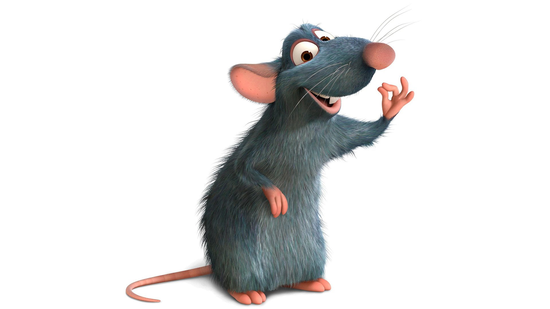 vertebrate, copy space, Ratatouille, Movie, mammal, animal body part, animal, indoors, pets, domestic, domestic animals, rodent, cut out, no people, domestic cat, HD Wallpaper