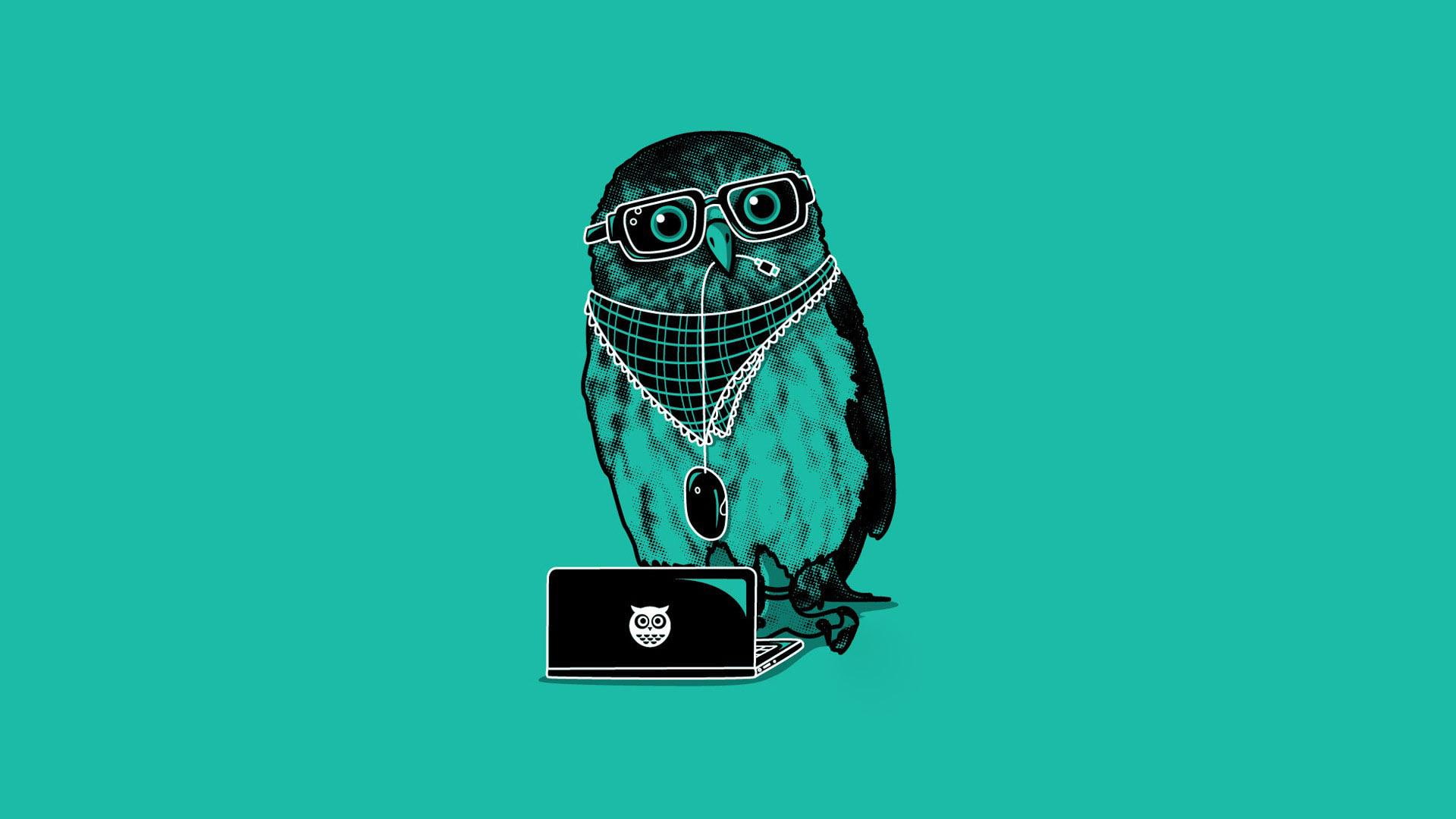 bird, illustration, jewelries, 1080P, owl, funny, dj, 1920x1080, laptop, HD Wallpaper