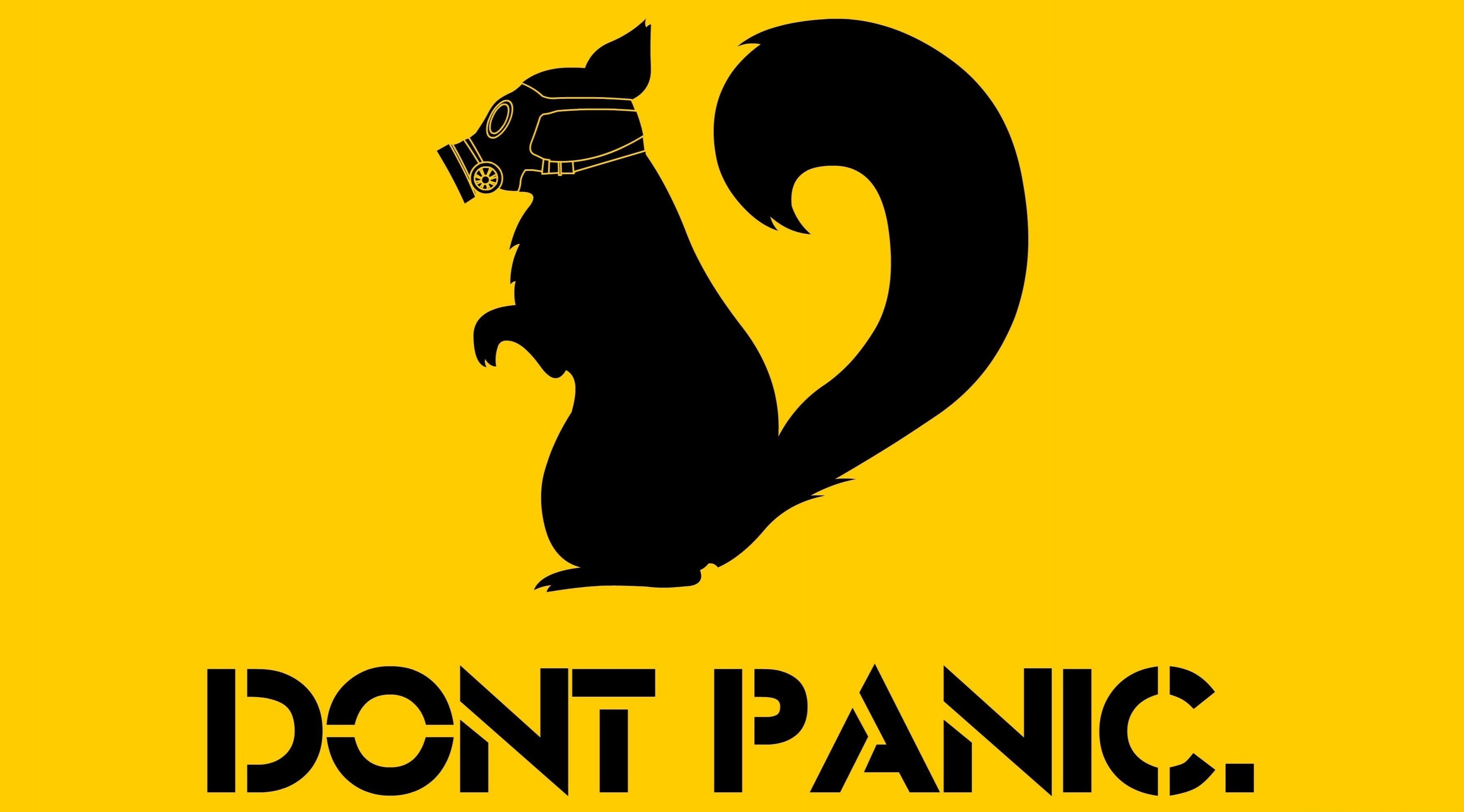 yellow background, yellow, black color, western script, silhouette, no people, colored background, sign, studio shot, message, black, squirrel, 2K, dont, HD Wallpaper