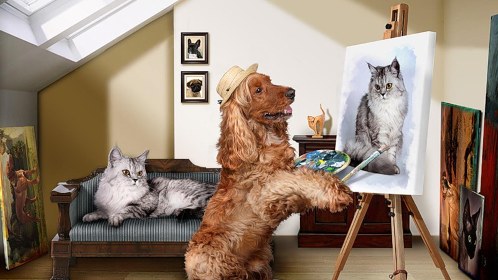 painted, pets, dogs, painting, dog, funny, animals, cats, nature, english, spaniel, gray, 1080P, cat, cocker, tan, HD Wallpaper