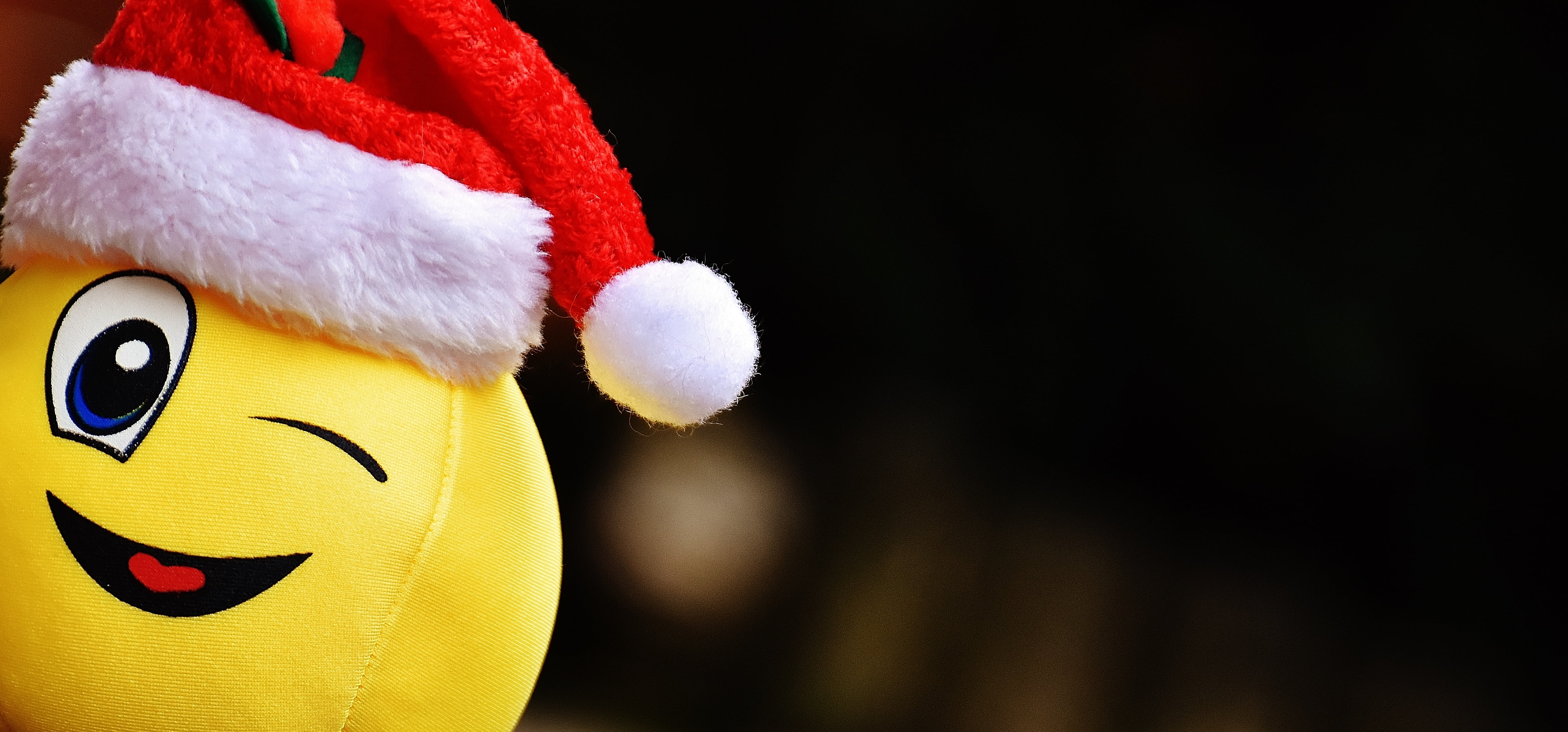 indoors, christmas, holiday - event, hat, smiley, emoticon, funny, animal, yellow, laugh, focus, close-up, event, holiday, selective, black background, HD Wallpaper