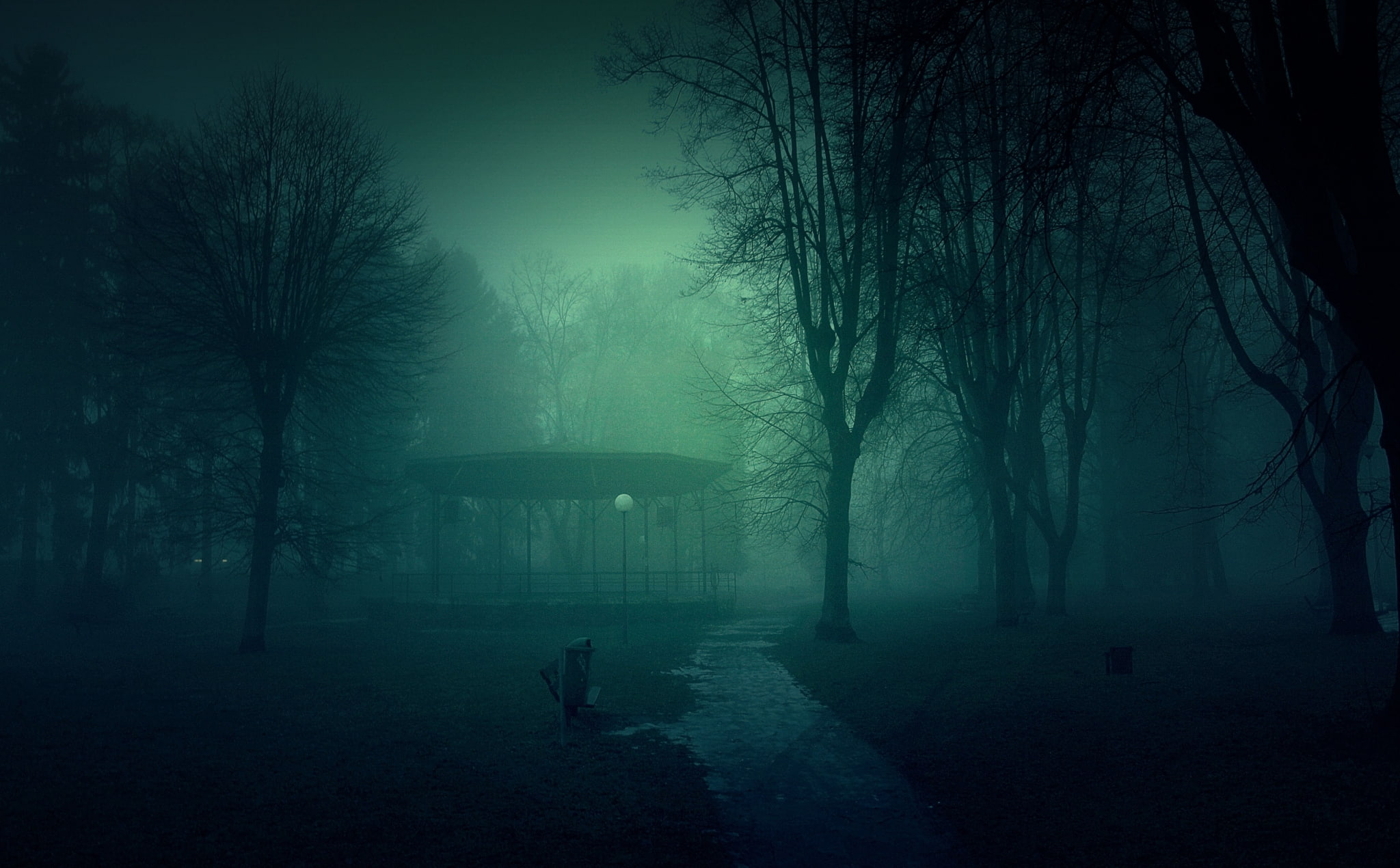 land, nature, footpath, beauty in nature, outdoors, winter, tranquil scene, park, animal, spooky, tranquility, fog, bench, 1080P, animal themes, forest, HD Wallpaper