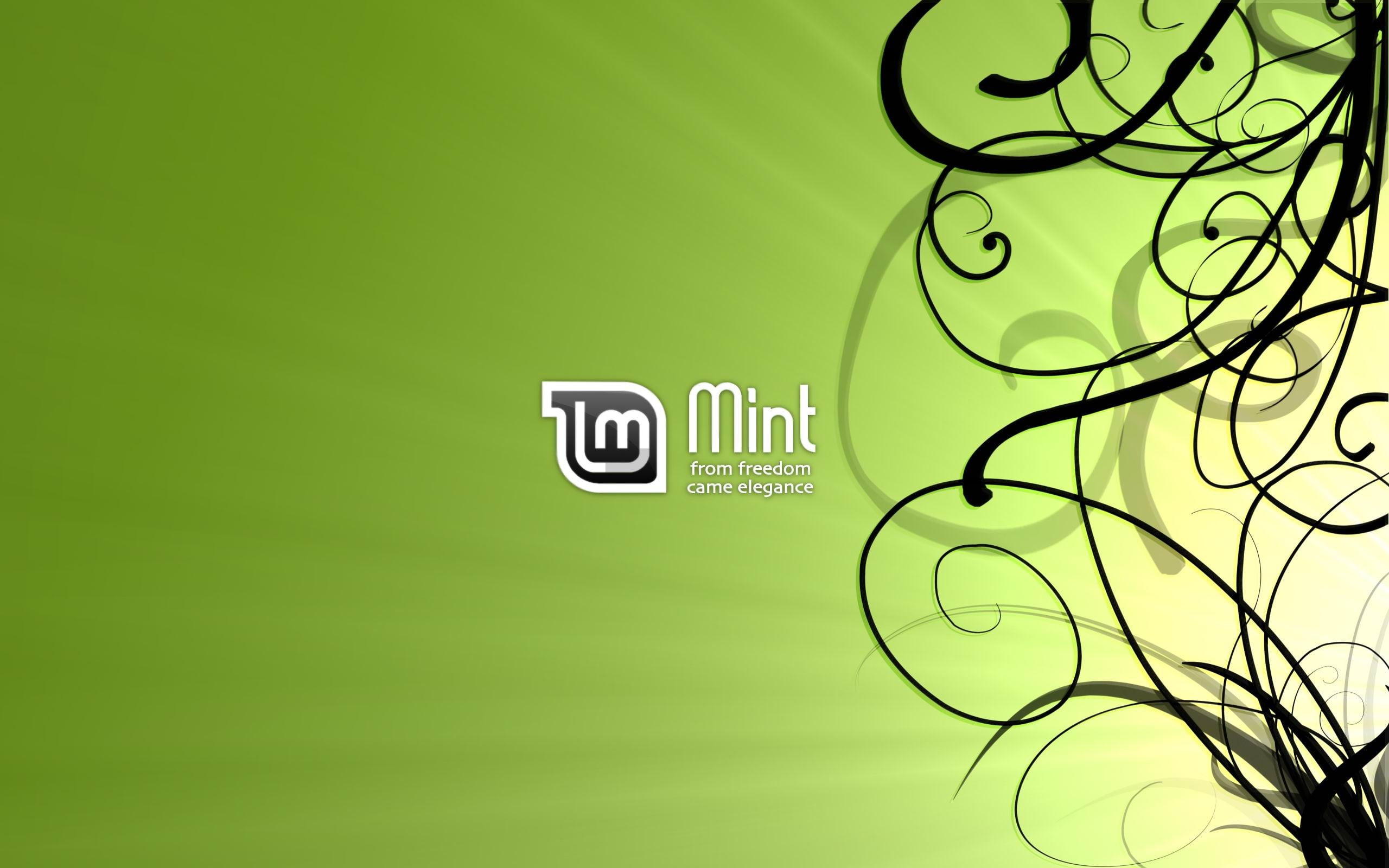 text, lighting equipment, close-up, built structure, Linux Mint, full frame, logo, copy space, architecture, cut out, studio shot, green background, no people, HD Wallpaper