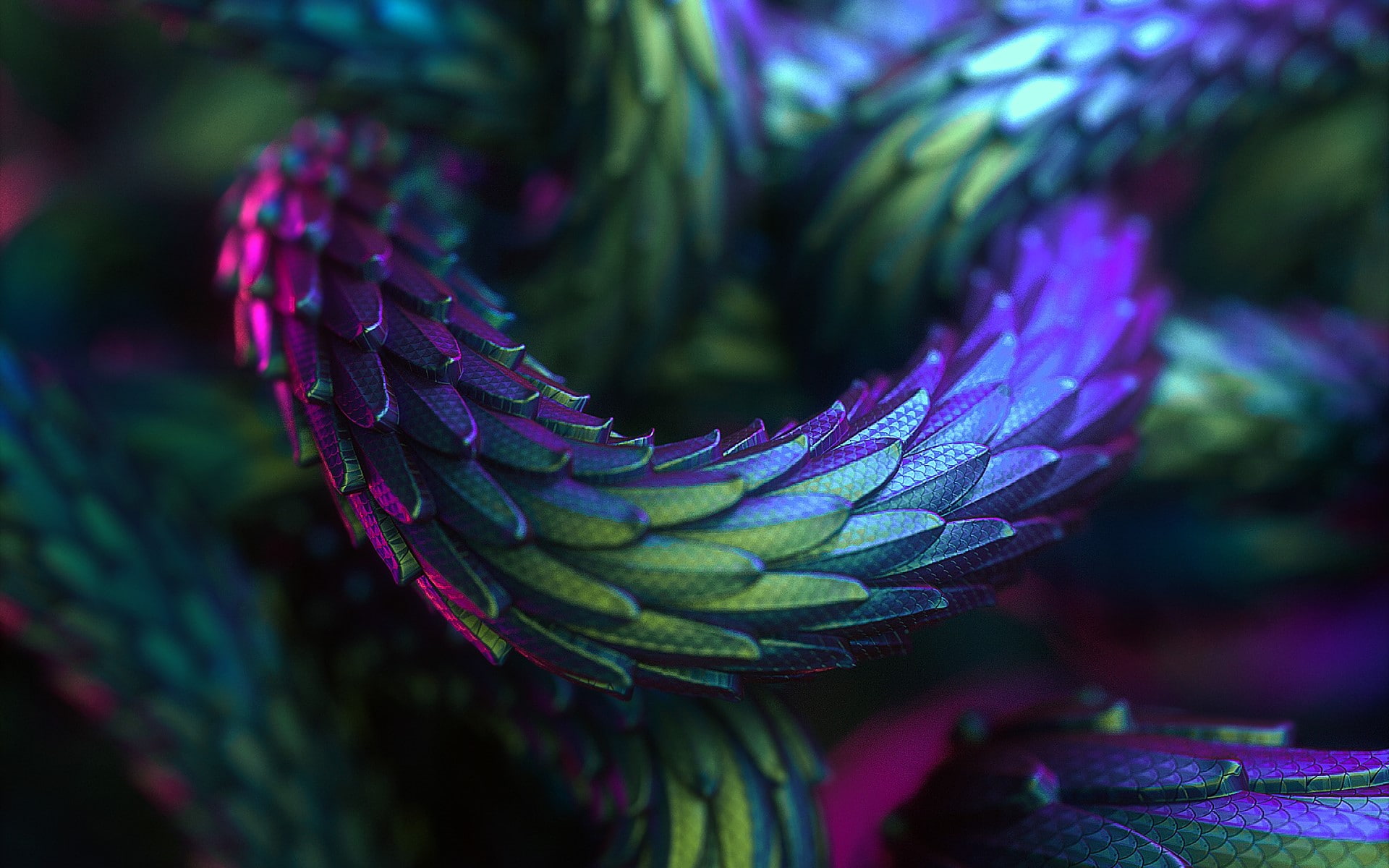 scales, water, beauty in nature, animal wildlife, day, multi colored, leaf, oil, slick, animal, focus on foreground, selective focus, nature, growth, plant part, HD Wallpaper