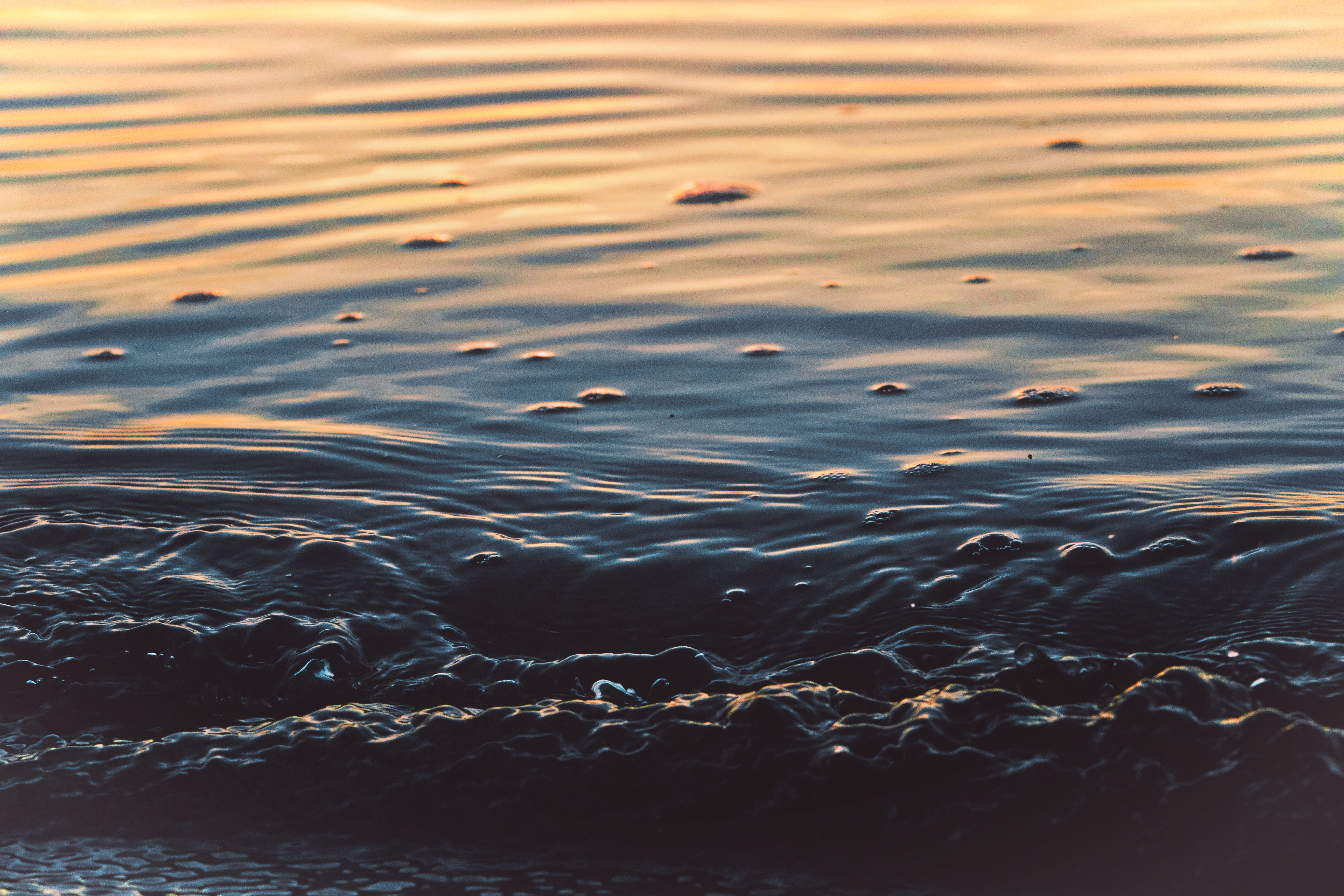 sunrise, nature, full frame, 5K, beak, no people, black swan, ocean, swan, puddle, garden, backgrounds, ripple, waterfowl, oil slick, rippled, pattern, HD Wallpaper
