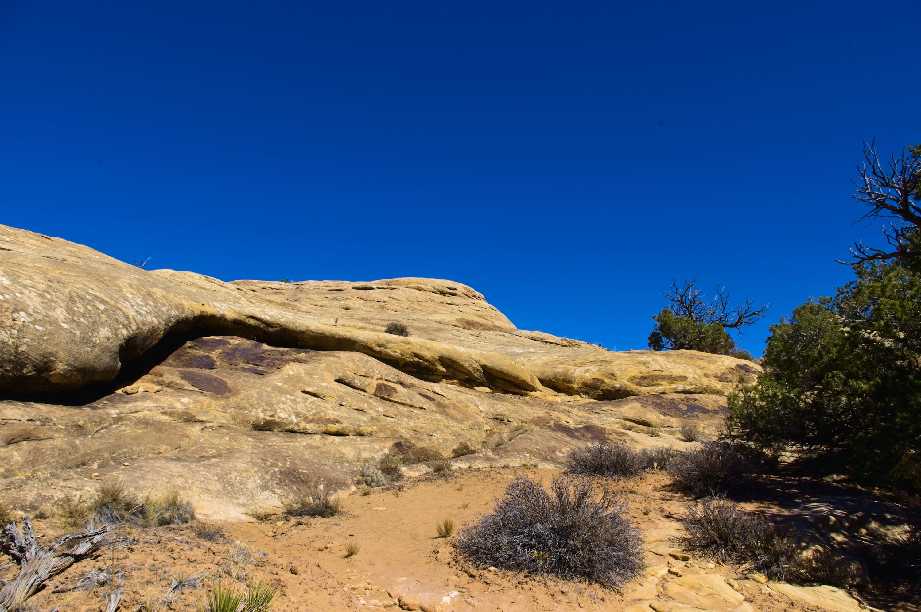 park, red, beauty in nature, usa, rock - object, tranquil scene, tranquility, tree, sandstone, 2K, landscape, clear sky, utah, land, geology, climate, HD Wallpaper