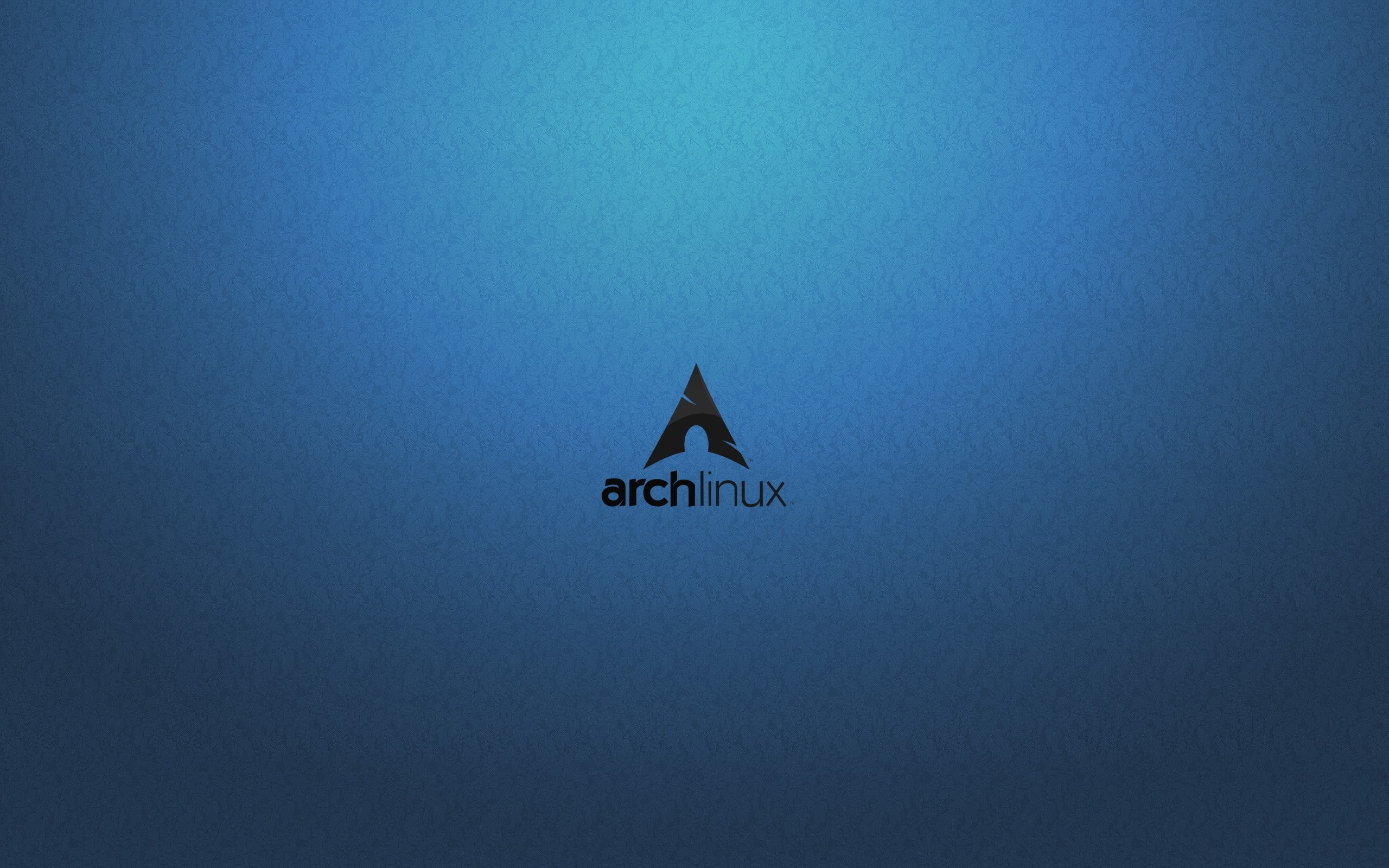 Os, communication, 2K, western script, animal, Black, sky, copy space, flying, information, day, sunny, Archlinux, low angle view, text, animal themes, HD Wallpaper