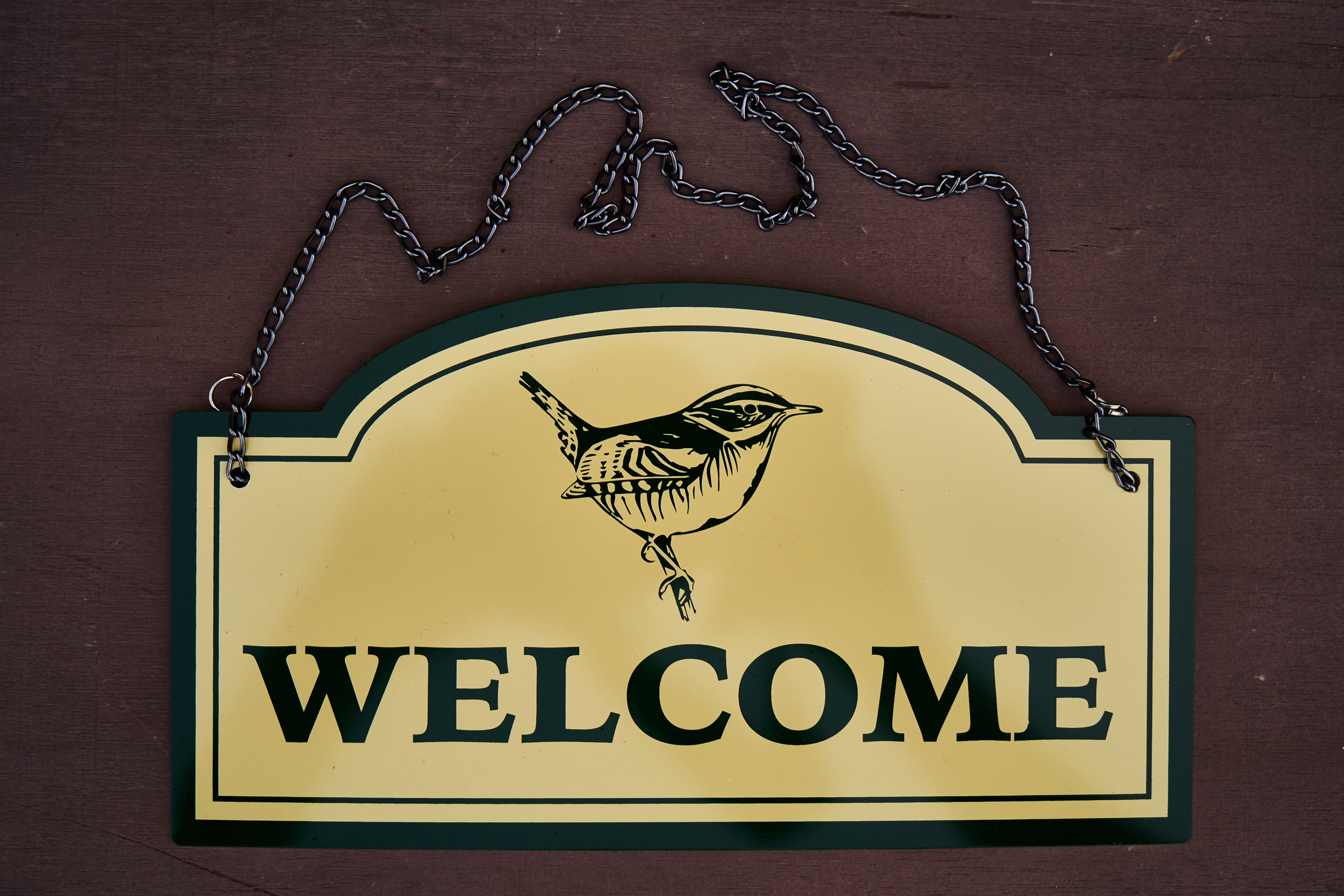 animal themes, sign, text, animal wildlife, craft, wood - material, no people, capital letter, symbol, graphics, welcome, representation, animal, bone, HD Wallpaper