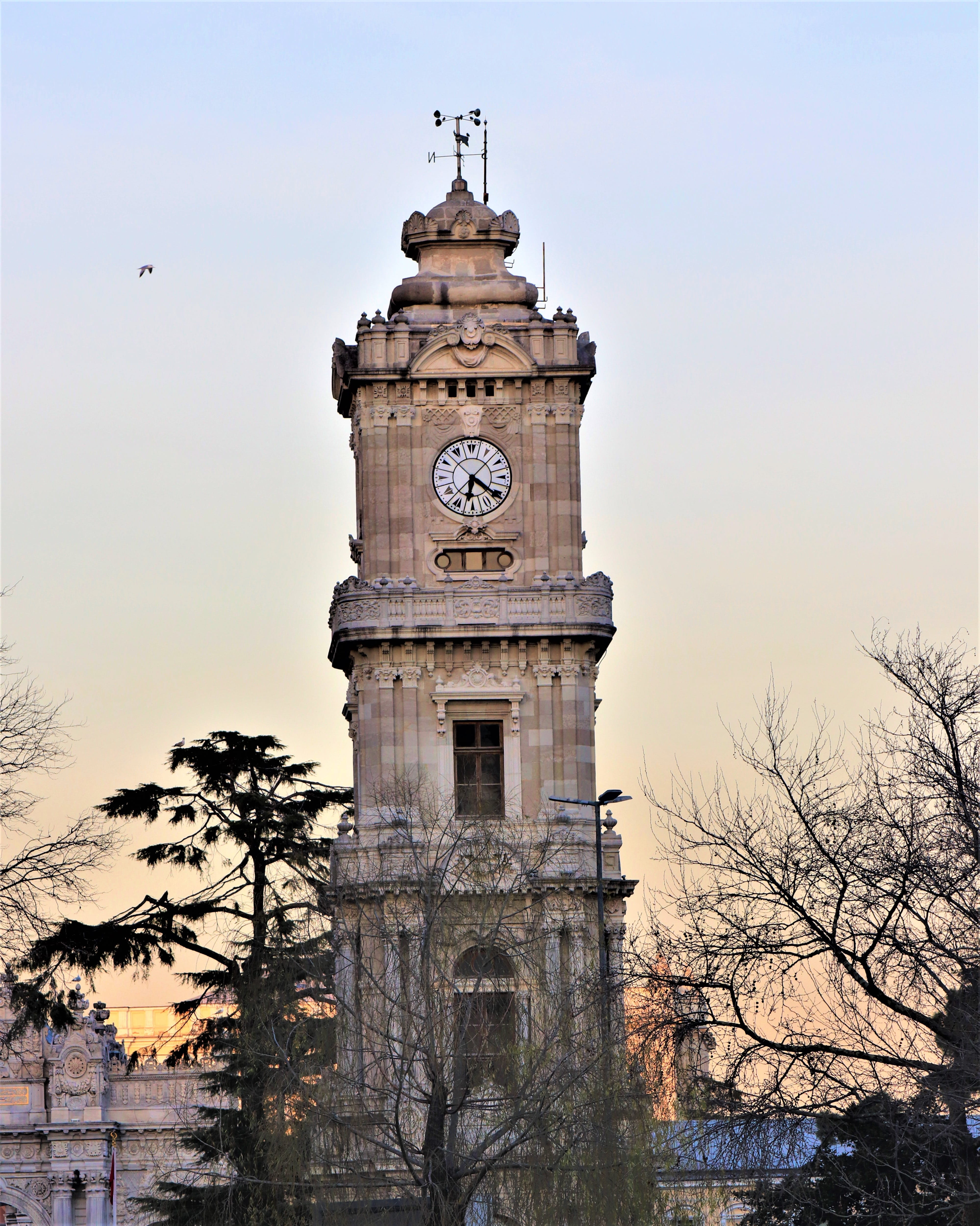 the past, travel, jewish, date, time, nature, palace, tree, istanbul, urban, architecture, on, built structure, tower, clock, the famous, travel destinations, Phone HD Wallpaper