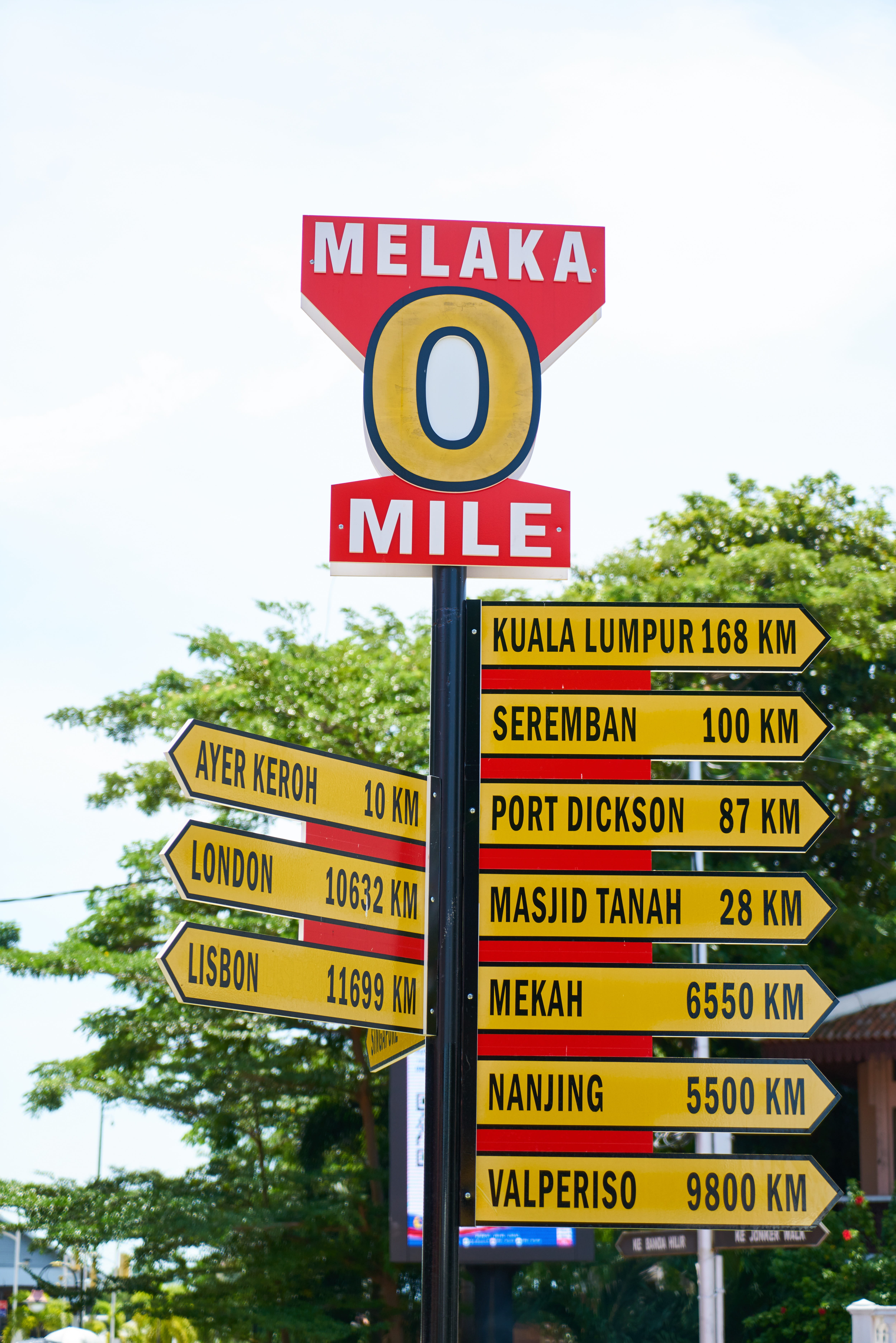 malaysia, nature, yellow, angel, street, roads, msn letters, communication, arrow symbol, western script, plant, text, directional sign, remote, signage, Phone HD Wallpaper