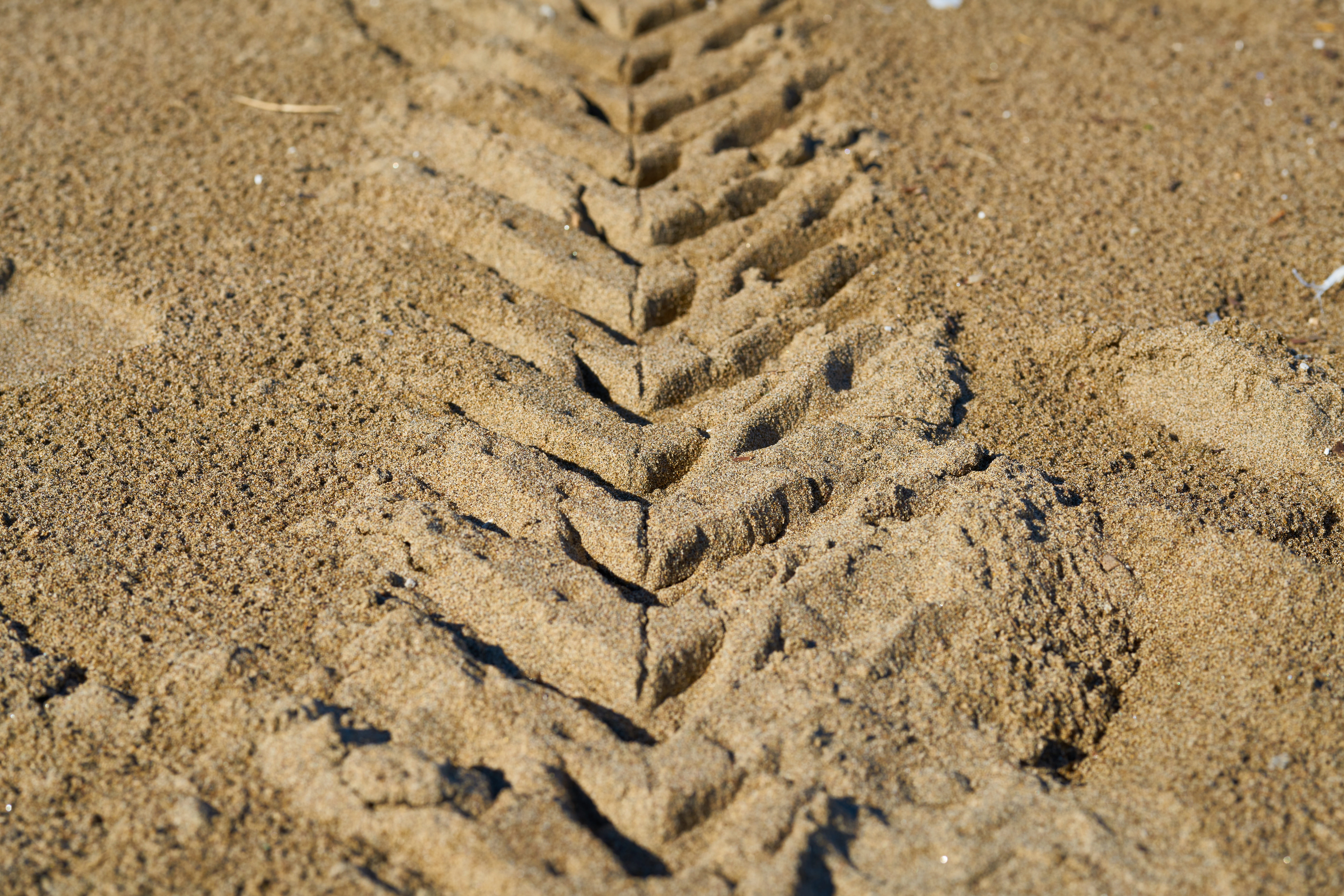 animal track, msn letters, sunlight, pattern, texture, footprint, land, travel, brown, day, high angle view, race, macro, textured, truck, speed, terry, HD Wallpaper