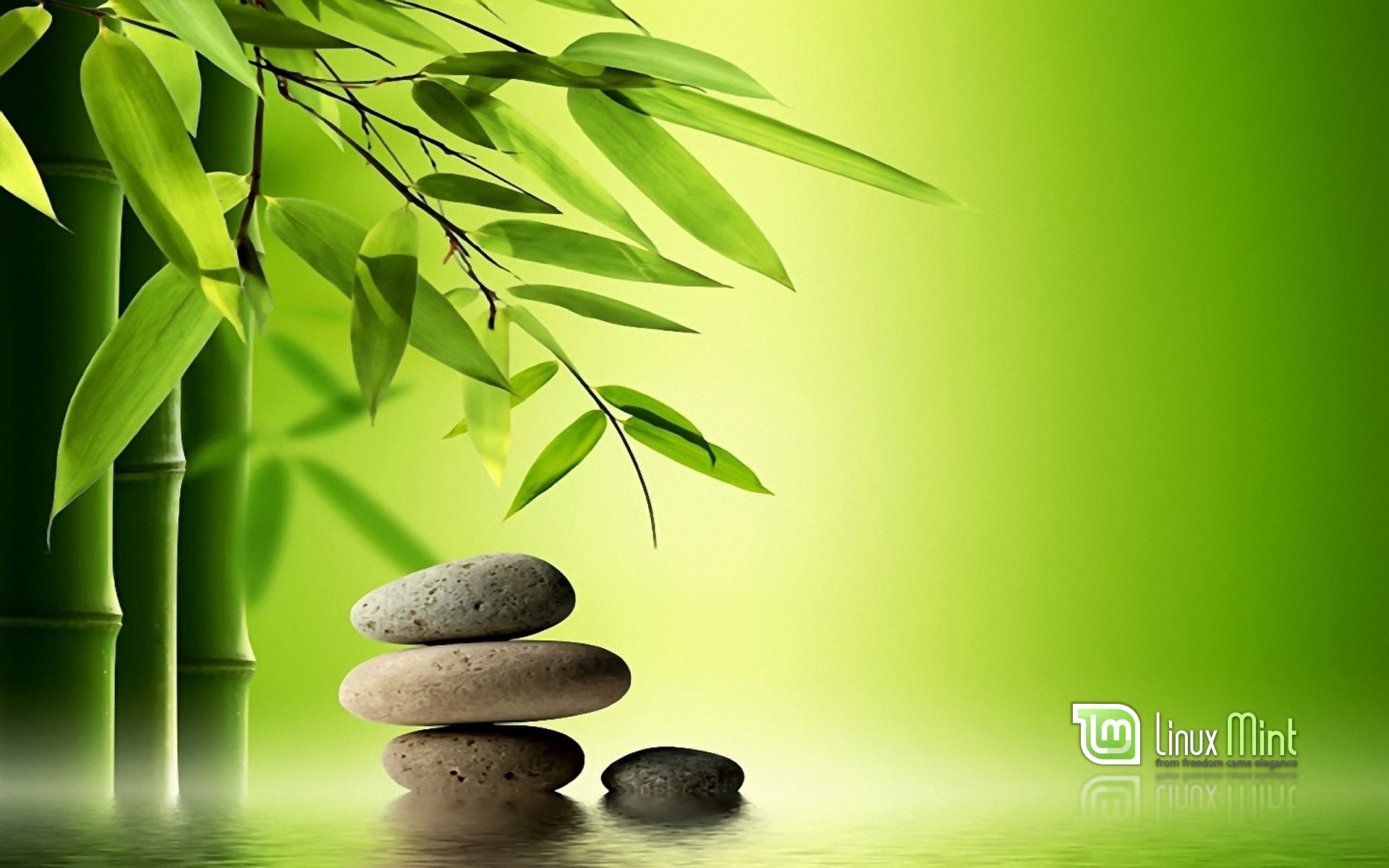 Linux Mint, 1080P, Linux, HD Wallpaper