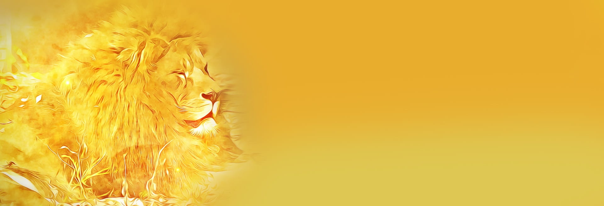 1080P, yellow, toy, domestic animals, sunny, graphics, mammal, plant, animal, copy space, one animal, studio shot, nature, celebration, header, lion, web page, HD Wallpaper