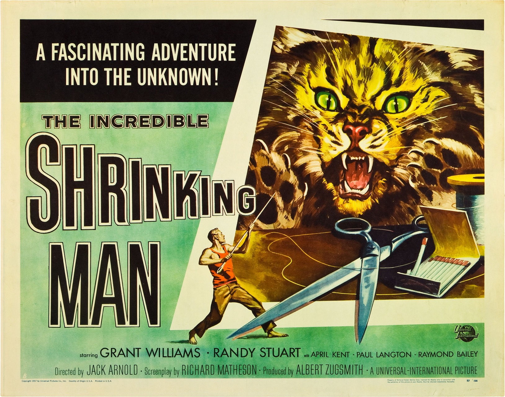 ape, fun, book, communication, dead, walking, animal wildlife, mural, The Incredible Shrinking Man, psychotronics, text, humor, Film posters, comic, western script, HD Wallpaper