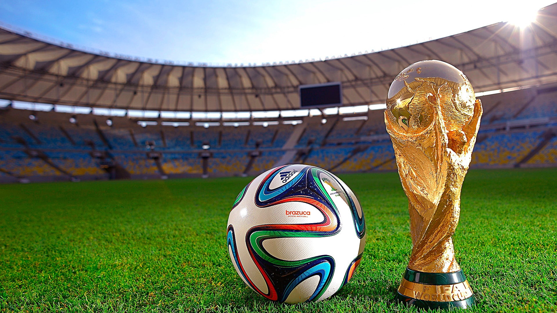 grass, 1080P, sports, plant, trophy, fifa, stadium, ball, world cup, sports equipment, football, HD Wallpaper