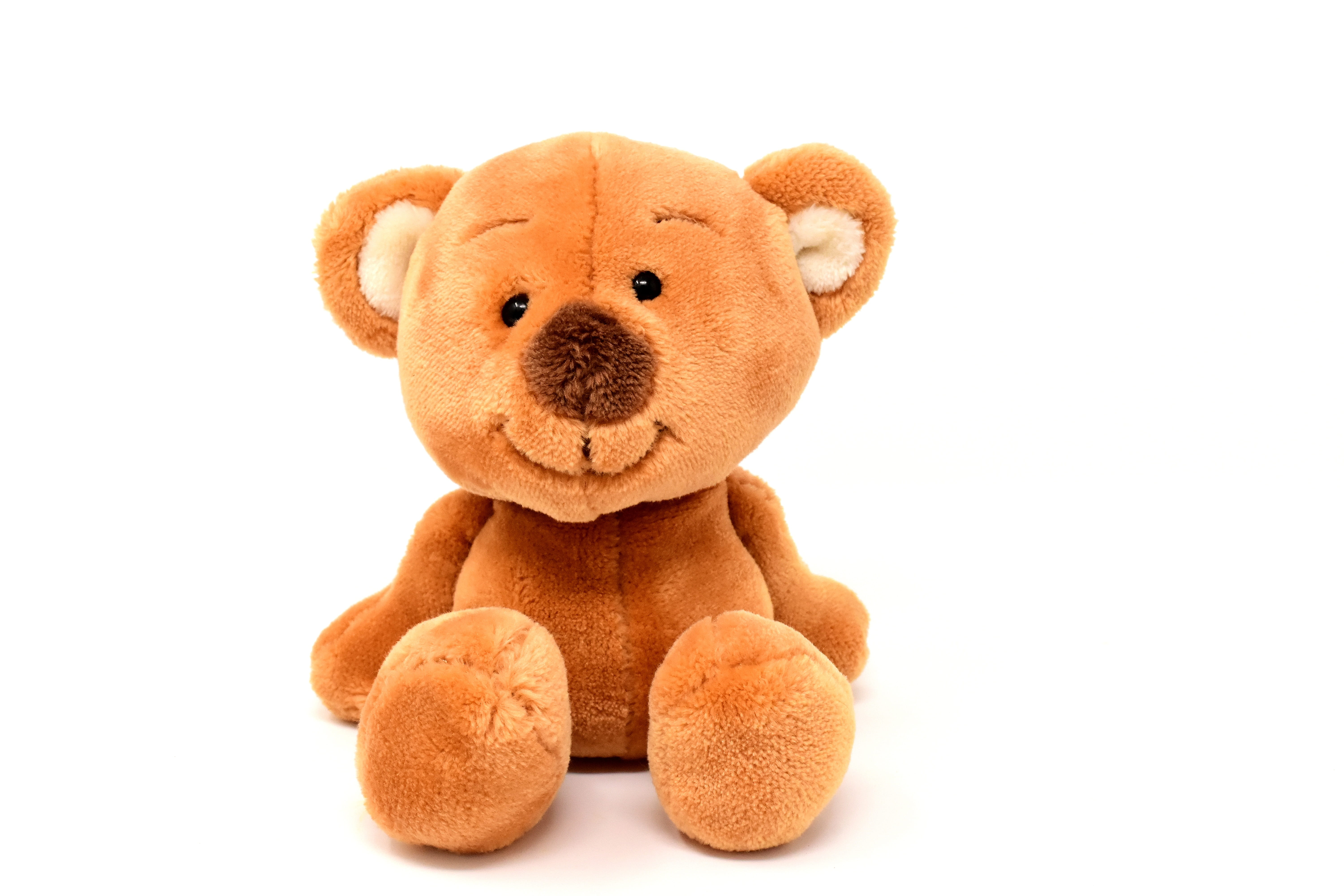 child, animal, teddy bear, single object, studio shot, brown, softness, brown bear, cut out, sweet, funny, childhood, children, play, stuffed toy, healthcare and medicine, HD Wallpaper