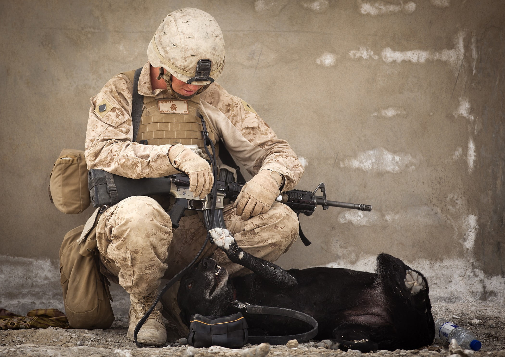 helmet, rifle, black, soldier, military, weapon, 1080P, animals, assault, dog, HD Wallpaper