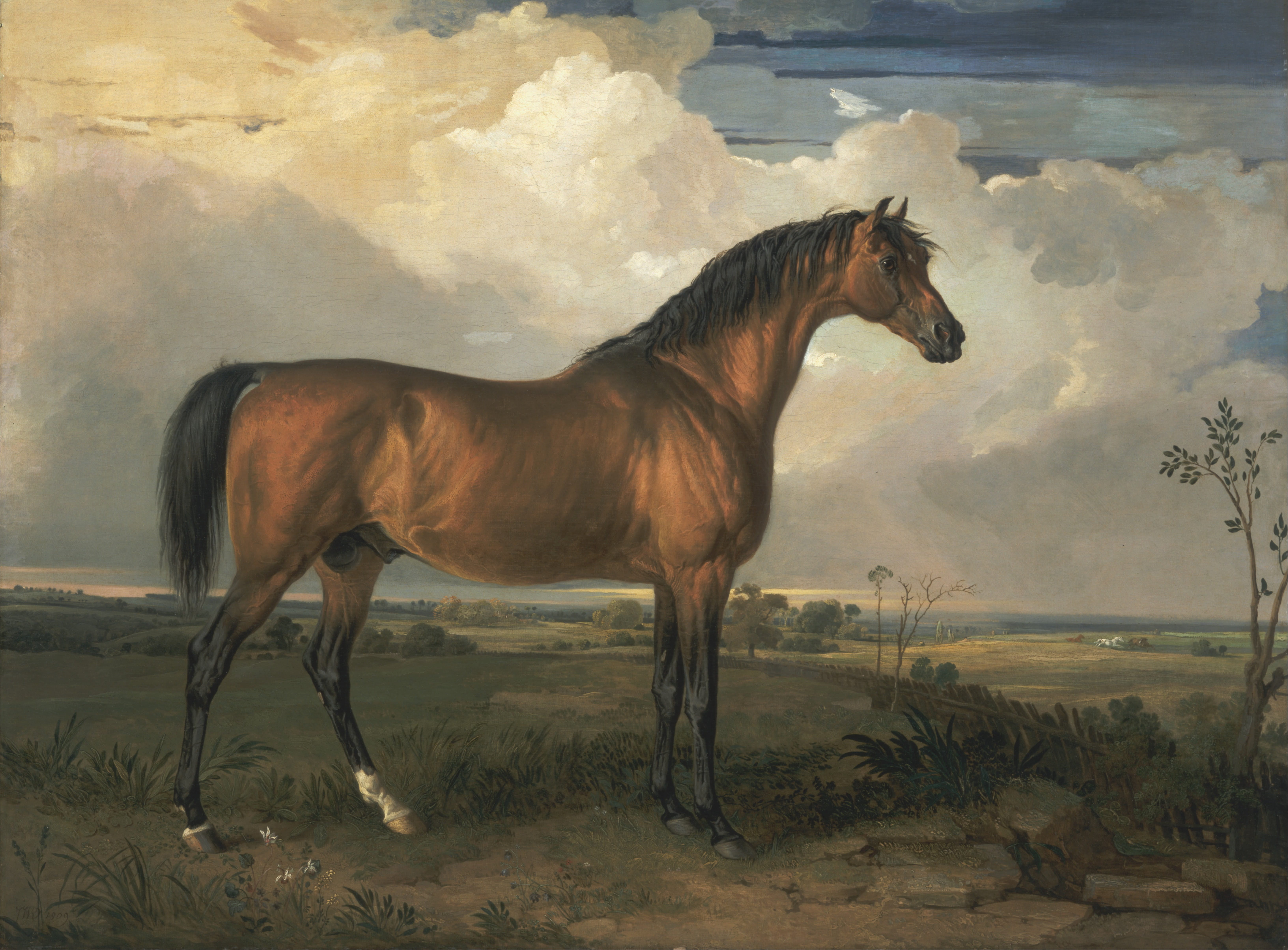 animal, animal themes, livestock, horse, herbivorous, james ward, painting, clouds, pets, land, photo, artistic, profile view, countryside, cloud - sky, HD Wallpaper
