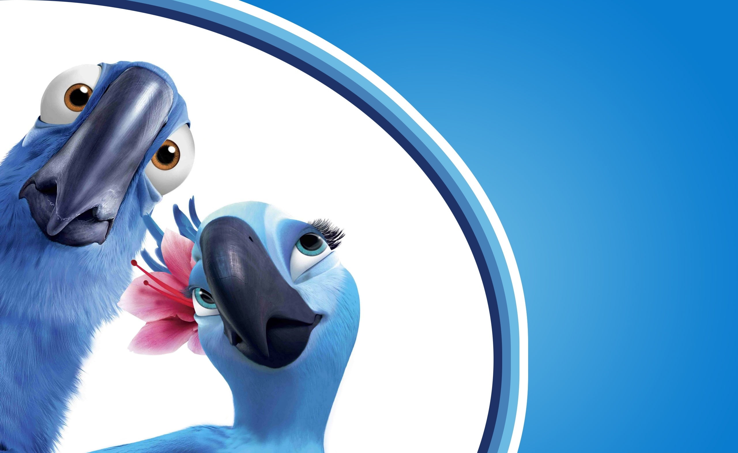 clear sky, low angle view, nature, animal wildlife, animal themes, rio, blue, domestic, no people, rio 3d movie, animal head, 2K, art and craft, day, sky, HD Wallpaper