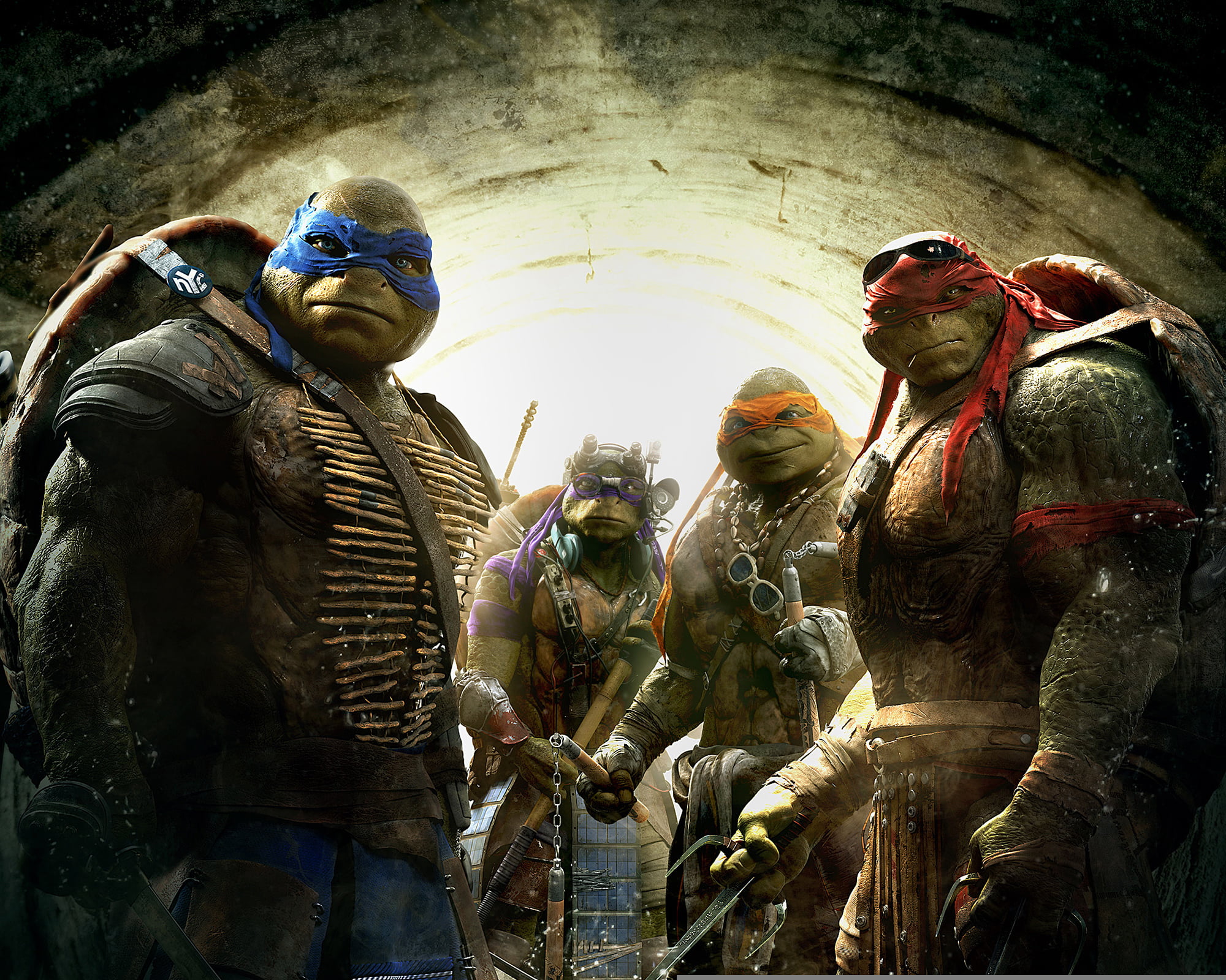 Movie, men, Armors, clothing, occupation, nature, Green, group, day, human representation, real people, Leo, women, Donnie, Don, representation, TMNT, government, HD Wallpaper