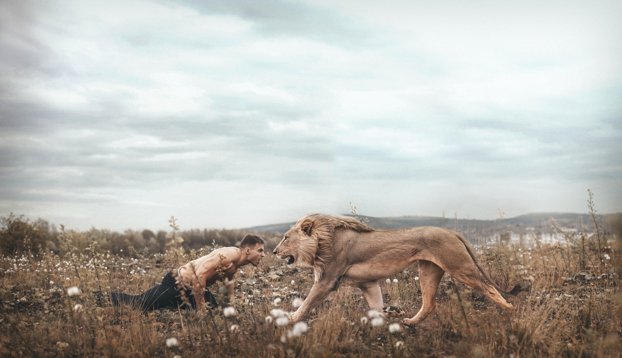 art, 1080P, fantasy, vs, lion, confrontation, man, HD Wallpaper