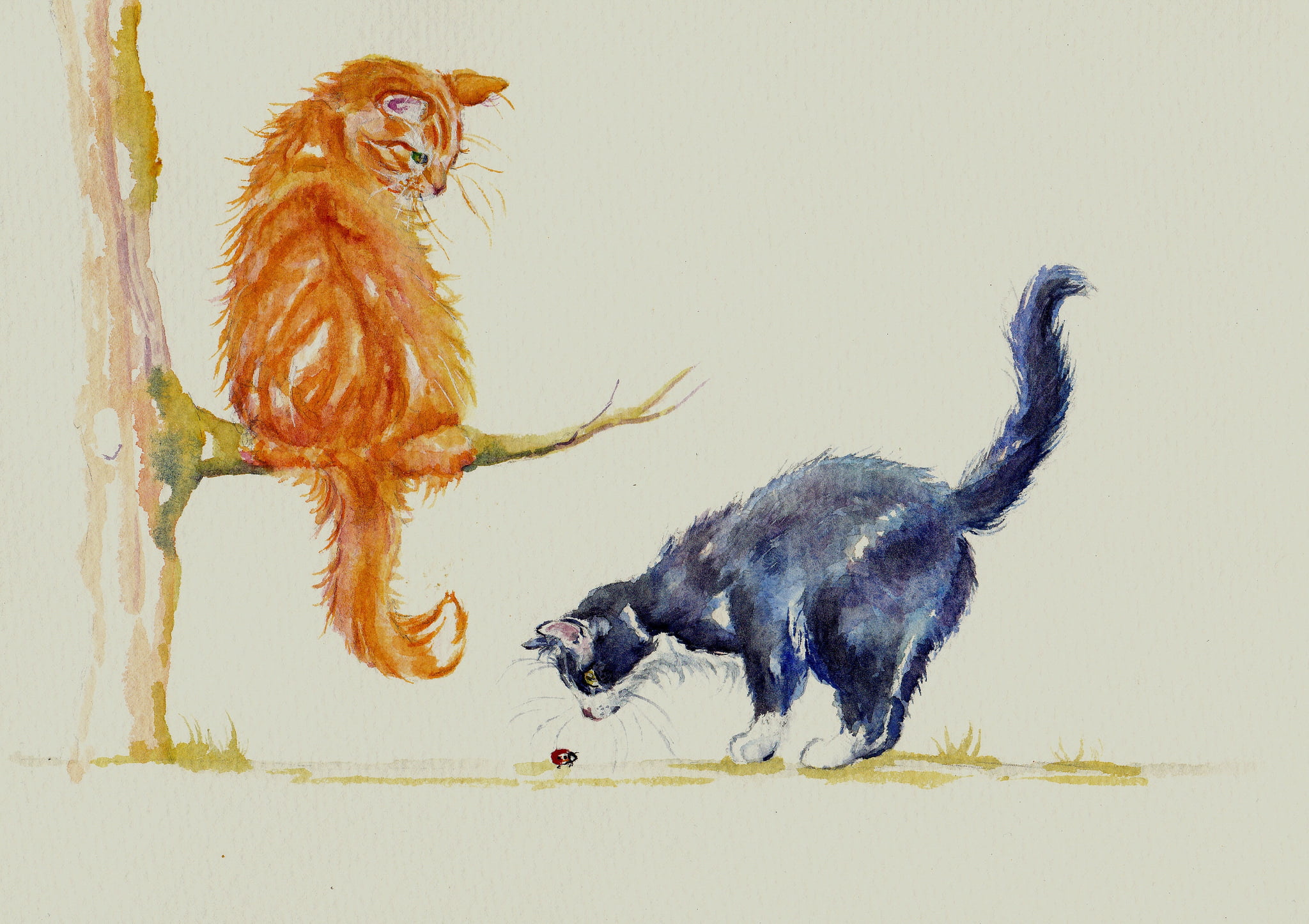 black, dog, cats, ladybug, group of animals, canine, full length, orange, confrontation, mammal, togetherness, no people, domestic, watercolor, conflict, HD Wallpaper
