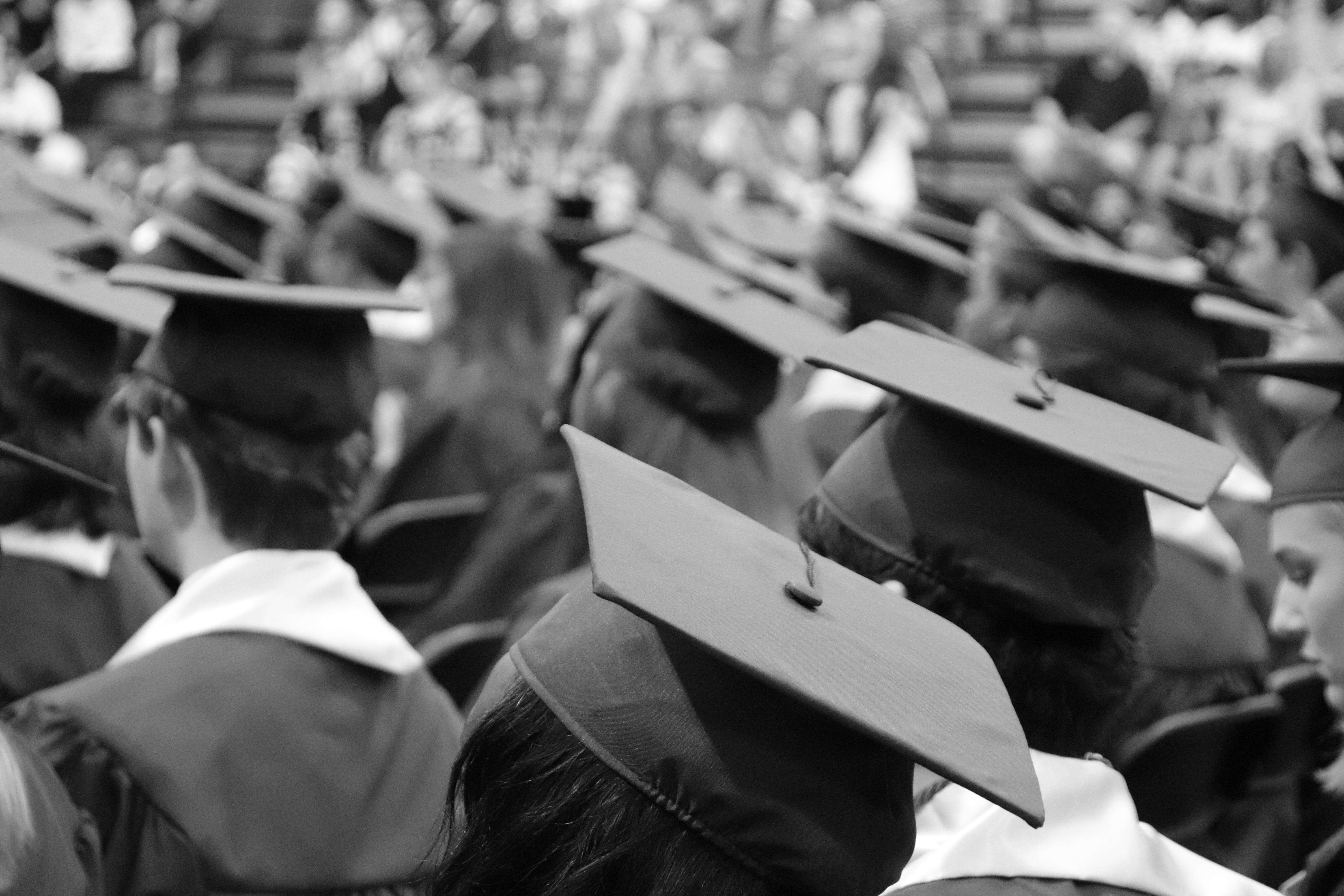 protest, unrecognizable person, graduate, paper, human body part, group of people, crowd, clothing, wearing, mortarboard, gowns, body part, education, hat, HD Wallpaper