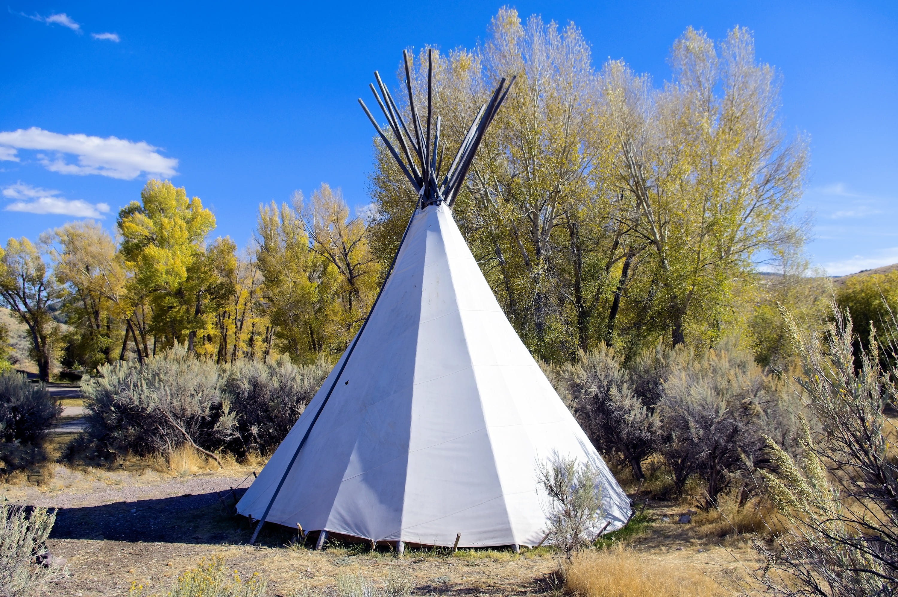 landscape, beauty in nature, teepee, beaverhead, tree, 2K, old west, outdoors, camp, tipi, county, growth, american, tranquil scene, sunlight, gold rush, HD Wallpaper