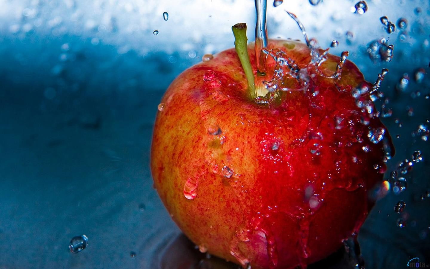 drop, red, apples, apple - fruit, nature, ripe, water, wellbeing, water drops, 720P, food, pomegranate, close-up, healthy eating, food and drink, fruit, HD Wallpaper