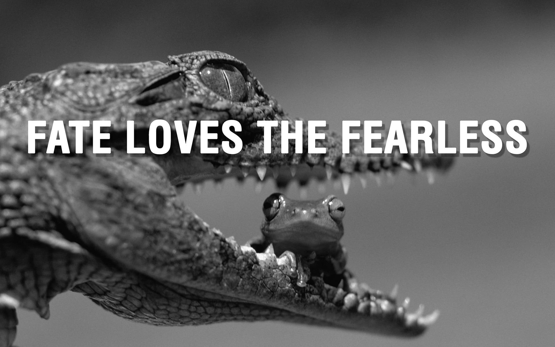 fearless, text, 1080P, fate loves the fearless, fate, 1920x1200, loves, quotes, HD Wallpaper