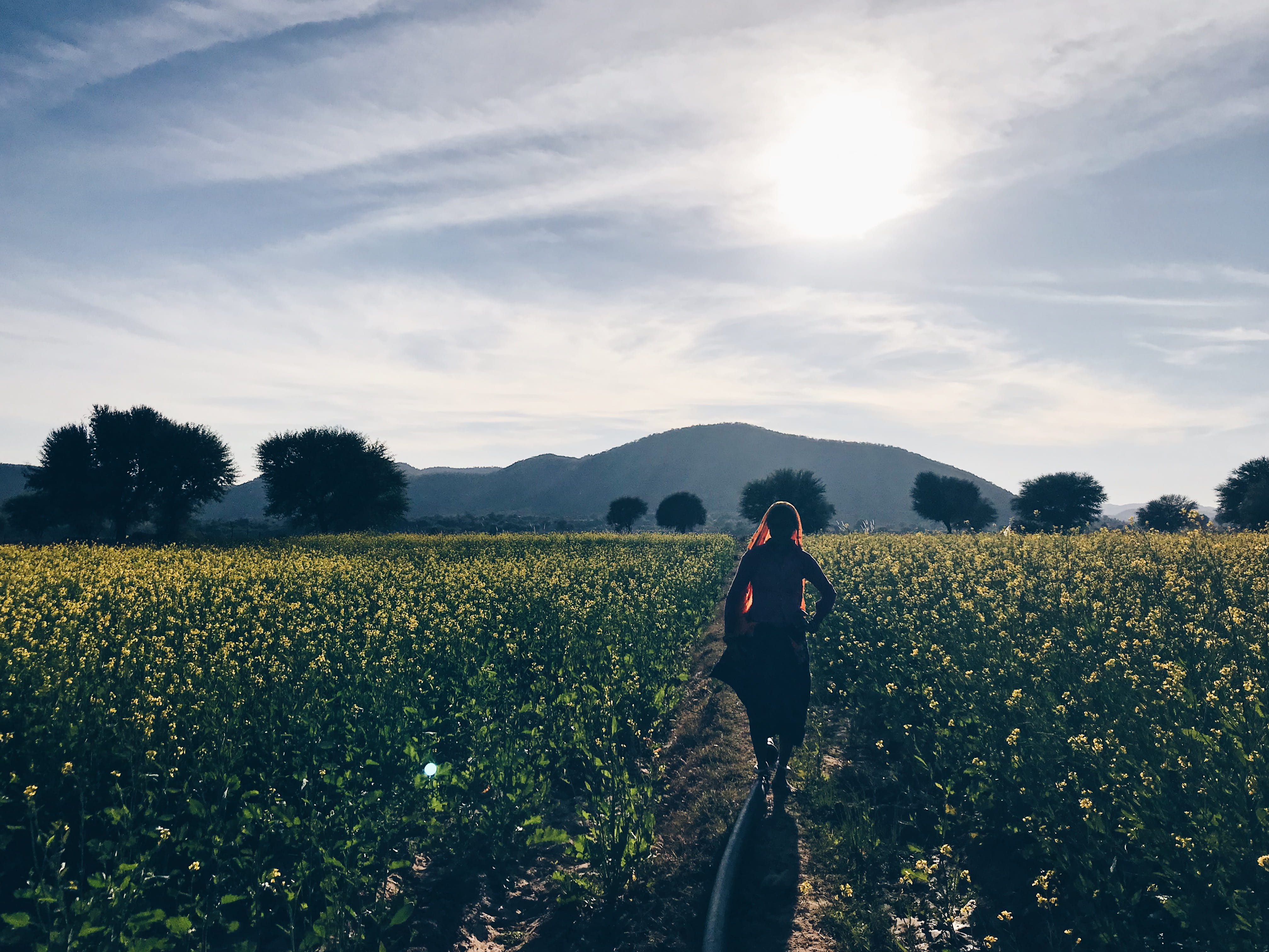 tranquility, real people, nature, growth, india, one person, lifestyles, sky, rajasthan, beauty in nature, landscape, environment, field, outdoors, tranquil scene, HD Wallpaper