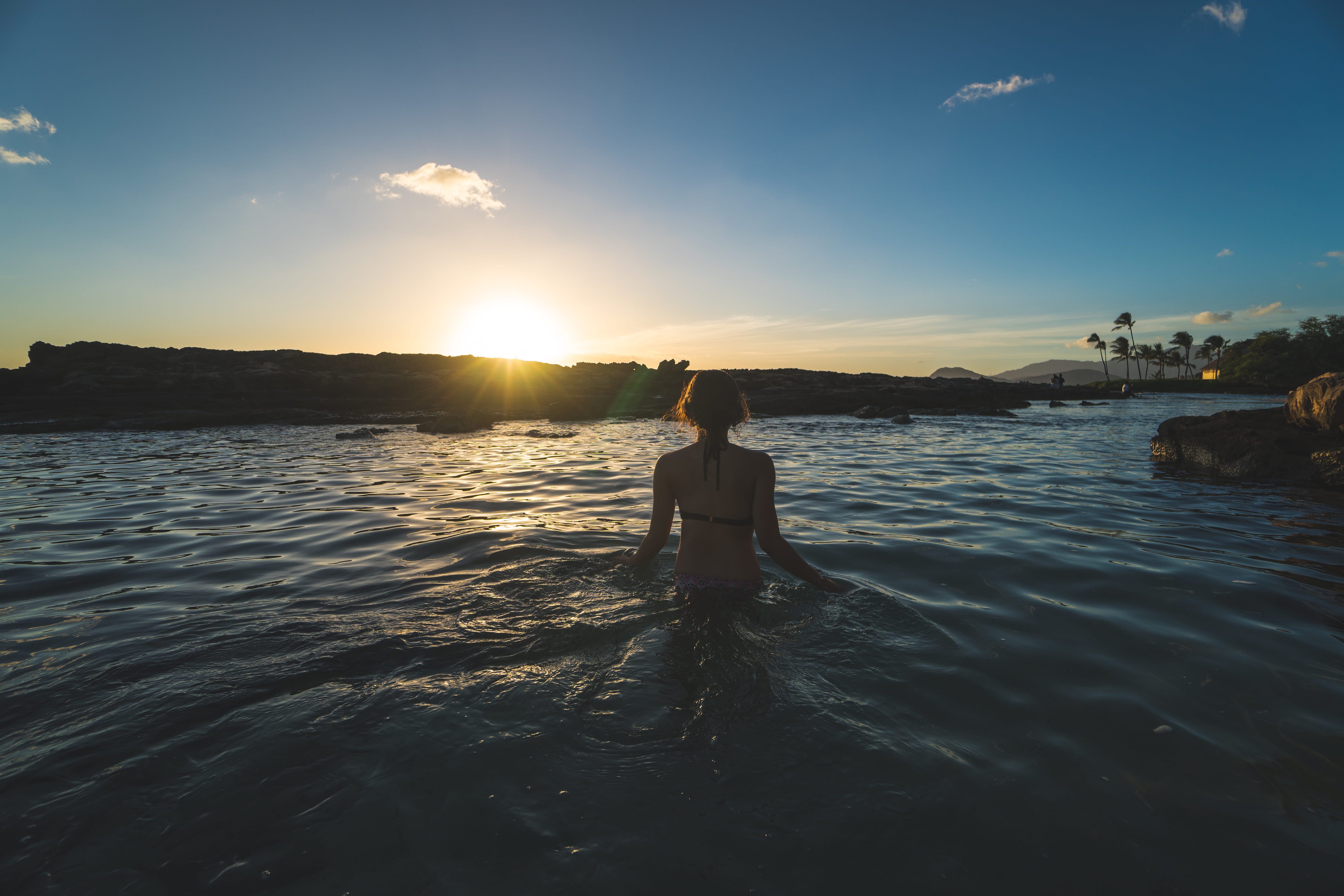 rear view, unique, ceo, tough, leisure activity, powerful, lifestyles, beach, scenics - nature, trees, adult, honolulu, beauty in nature, waikiki, standing, HD Wallpaper