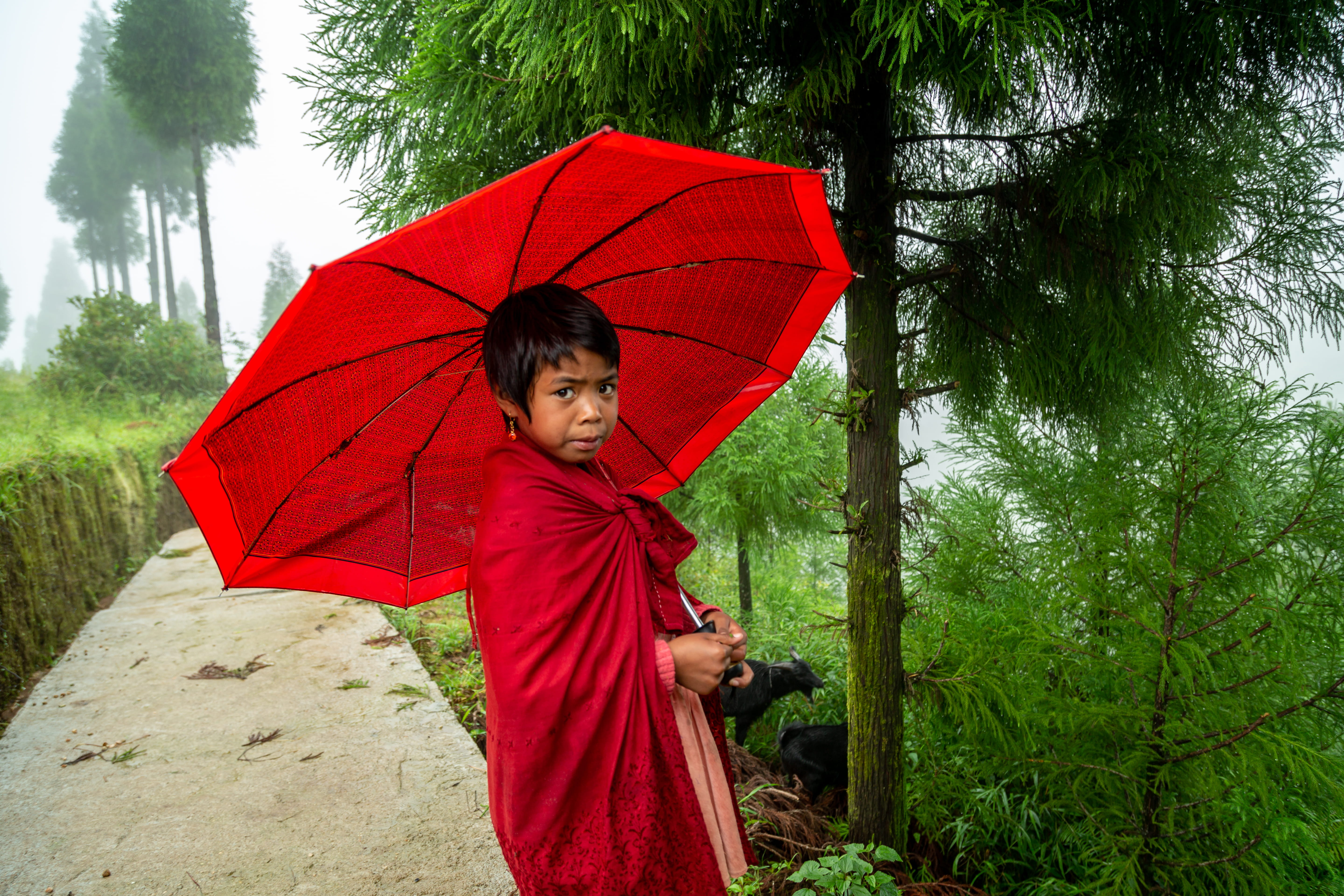 innocence, security, nature, tough, wet, clothing, girl, red, vase, front view, one person, human, potted plant, asia, day, childhood, real people, 5K, HD Wallpaper