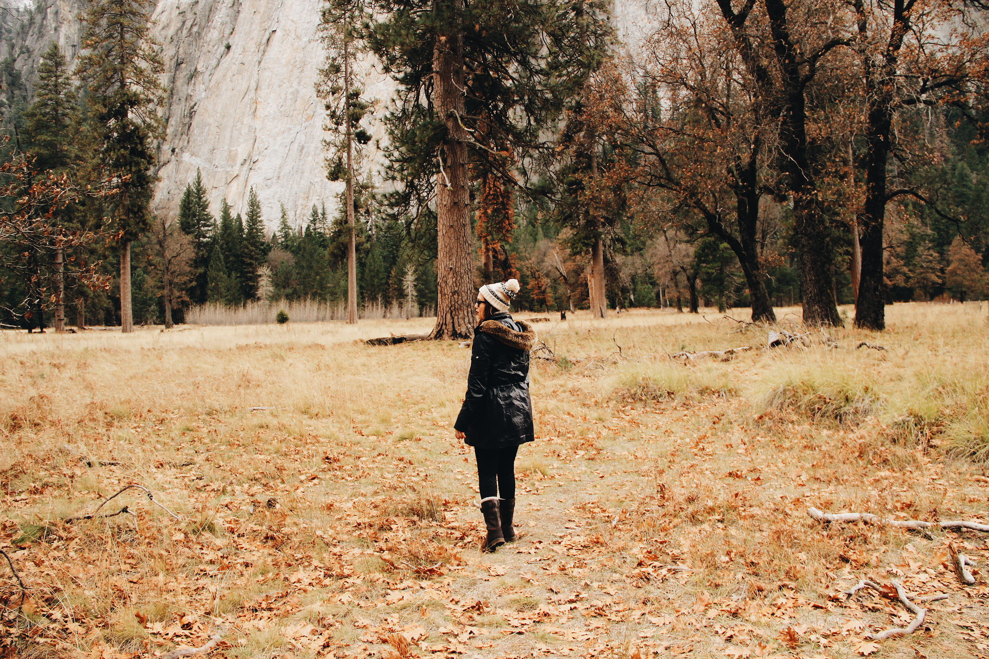 white plains, day, girl in the woods, california, field, lifestyles, simples things, real people, nature, forest, autumn, outdoors, plant, clothing, fearless, HD Wallpaper